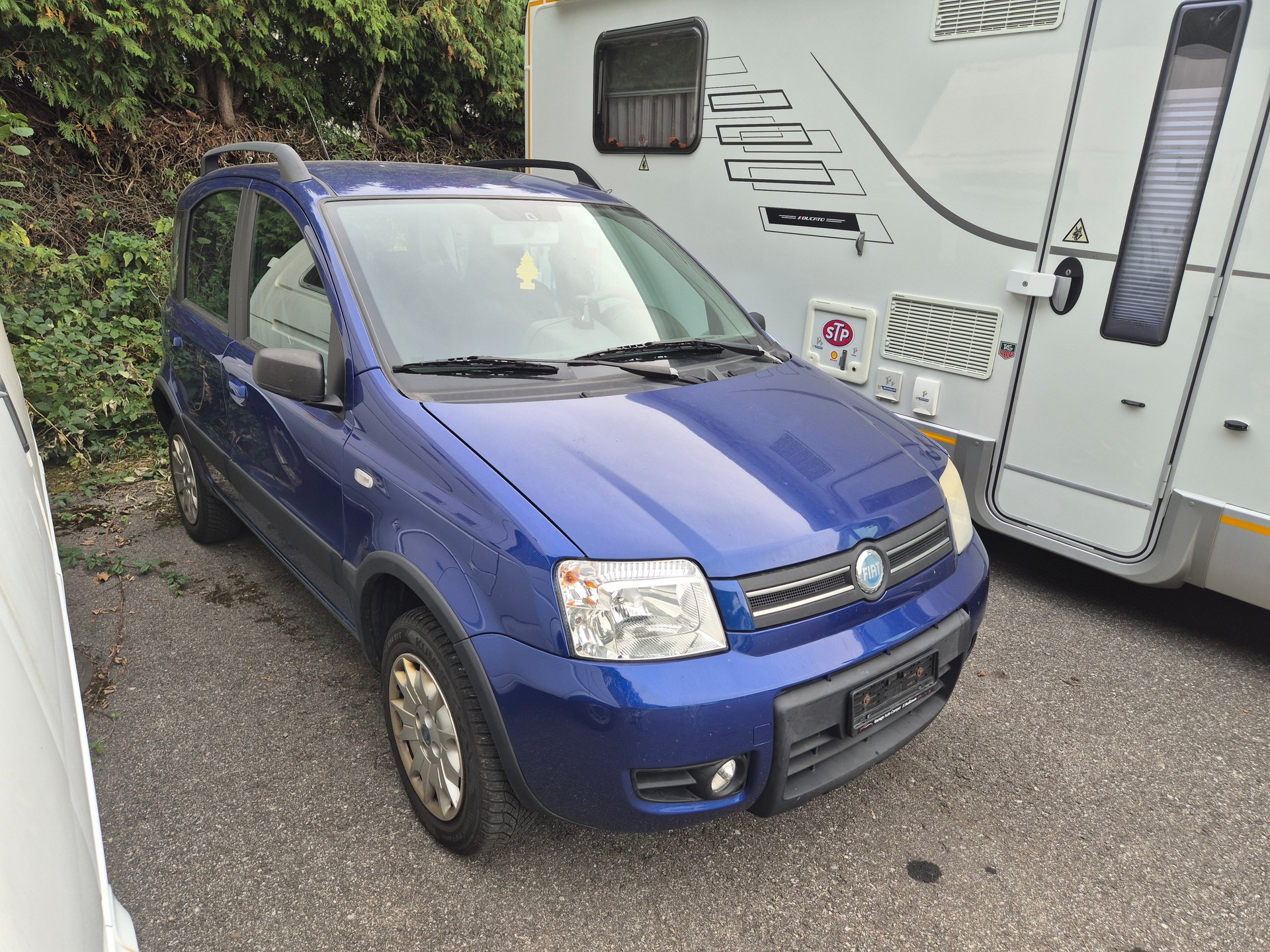 FIAT Panda 1.2 4x4 (Trekking)-image-3