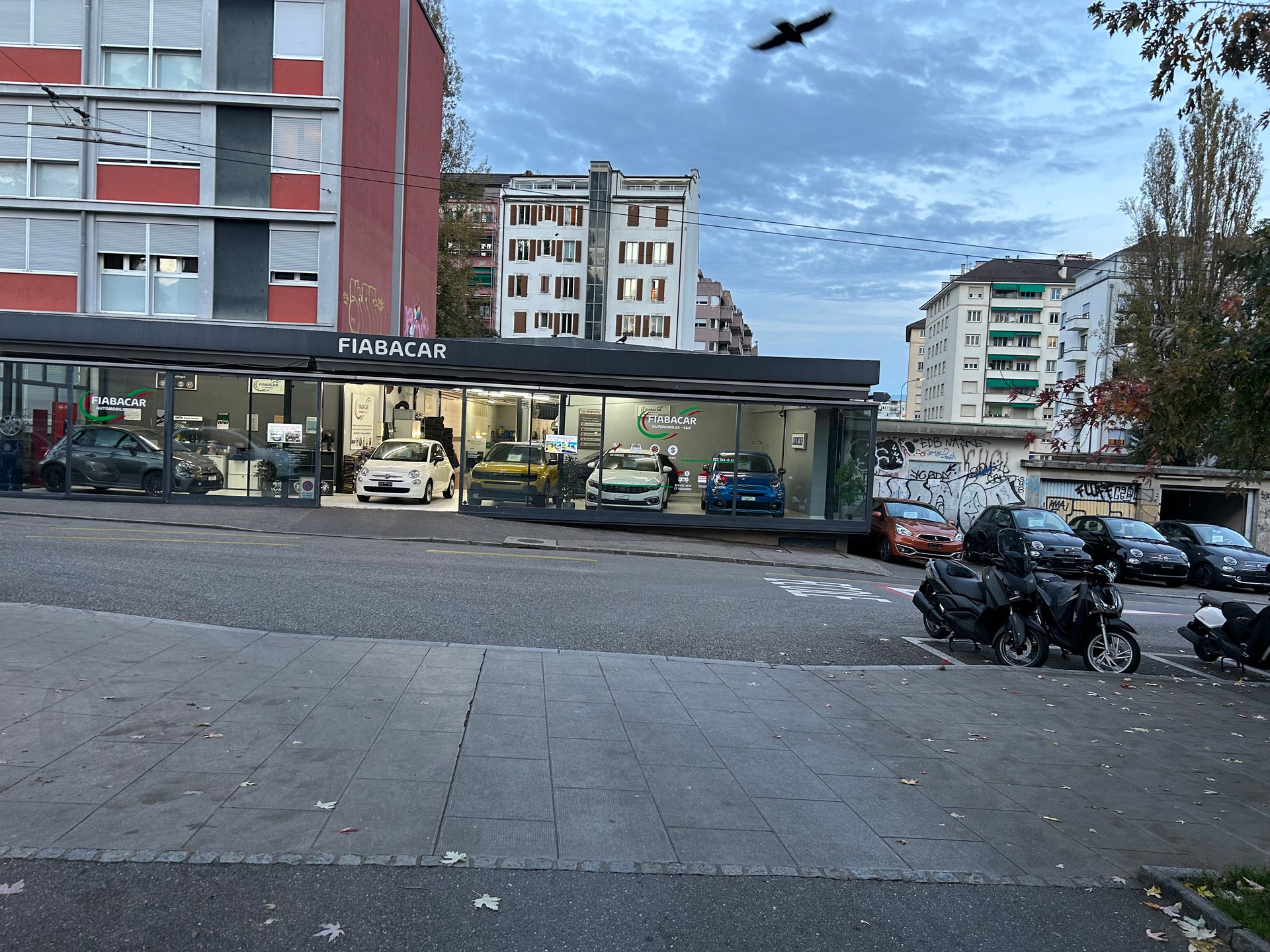 FIAT Panda 1.2 Lounge-image-11