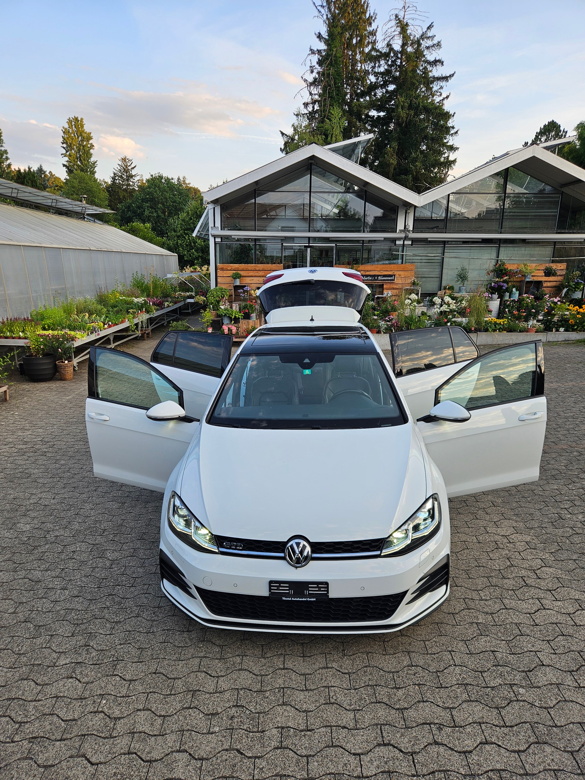 VW 2.0 TDI GTD DSG-image-1