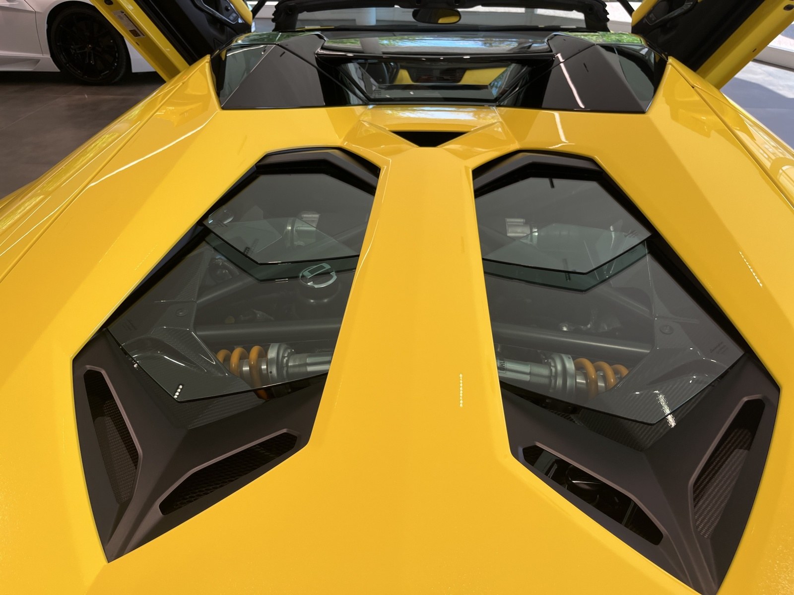 LAMBORGHINI Aventador Roadster 6.5 LP720 50° Anniversario Rds-image-7