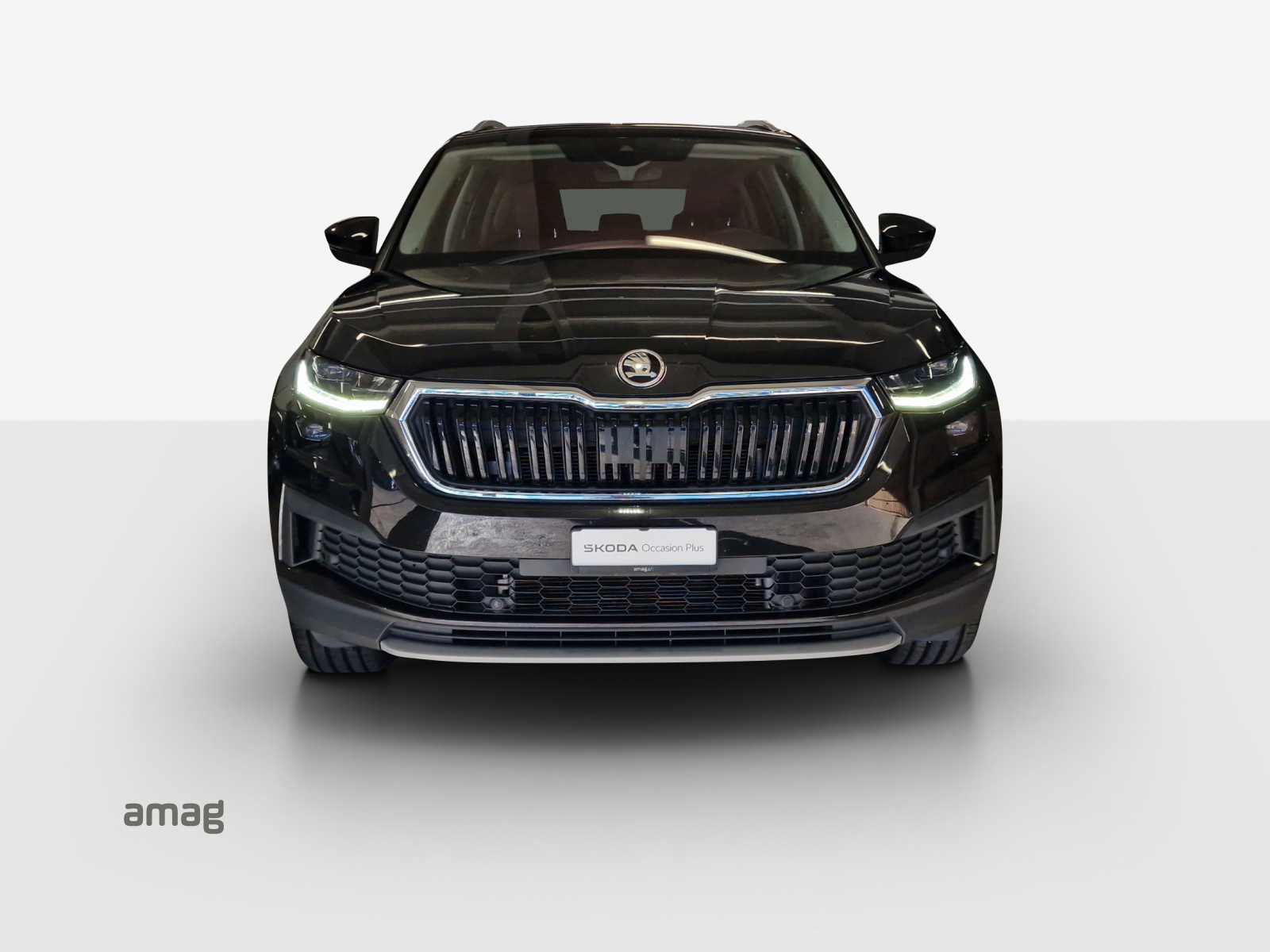 SKODA Kodiaq 2.0 TDI CR Clever 4x4 DSG-image-21