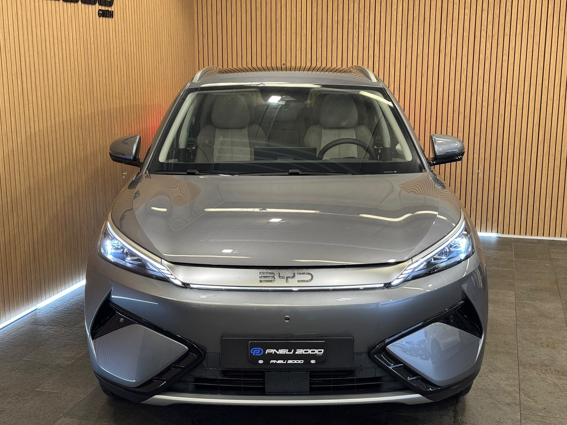 BYD EVO 74.8 kWh Excellence AWD-image-1