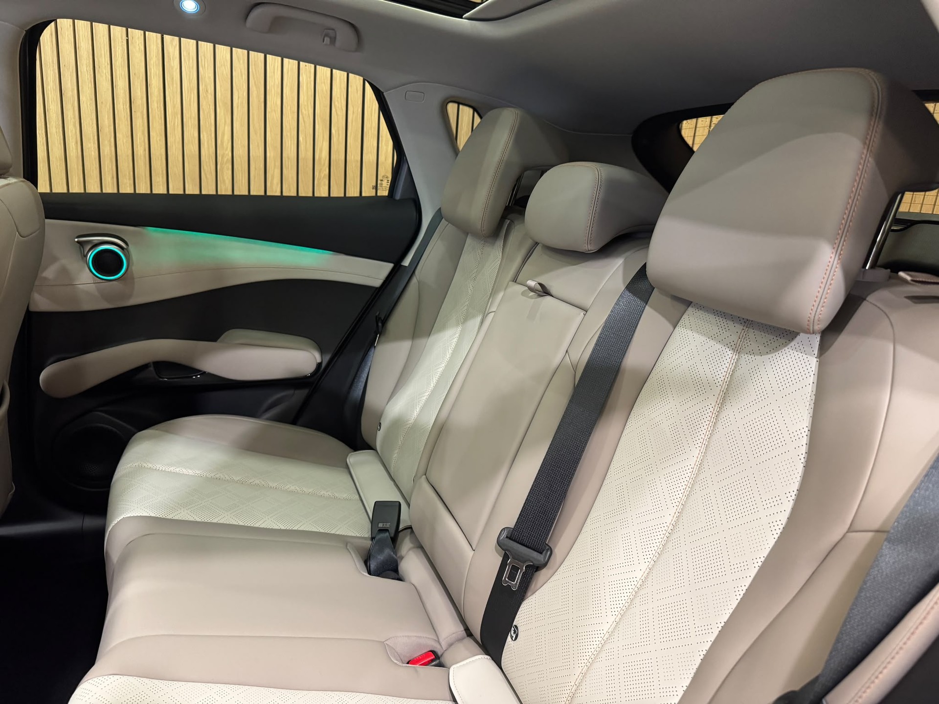 BYD EVO 74.8 kWh Excellence AWD-image-24