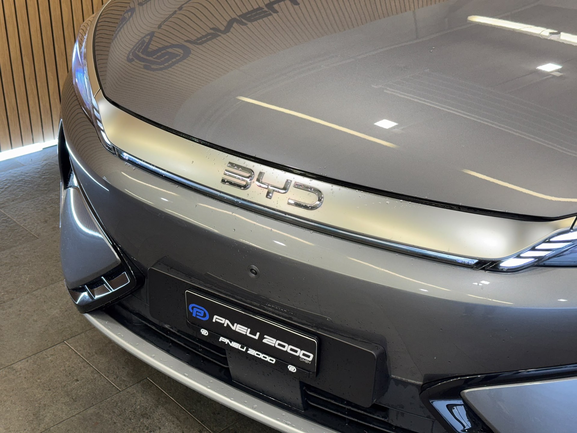 BYD EVO 74.8 kWh Excellence AWD-image-2