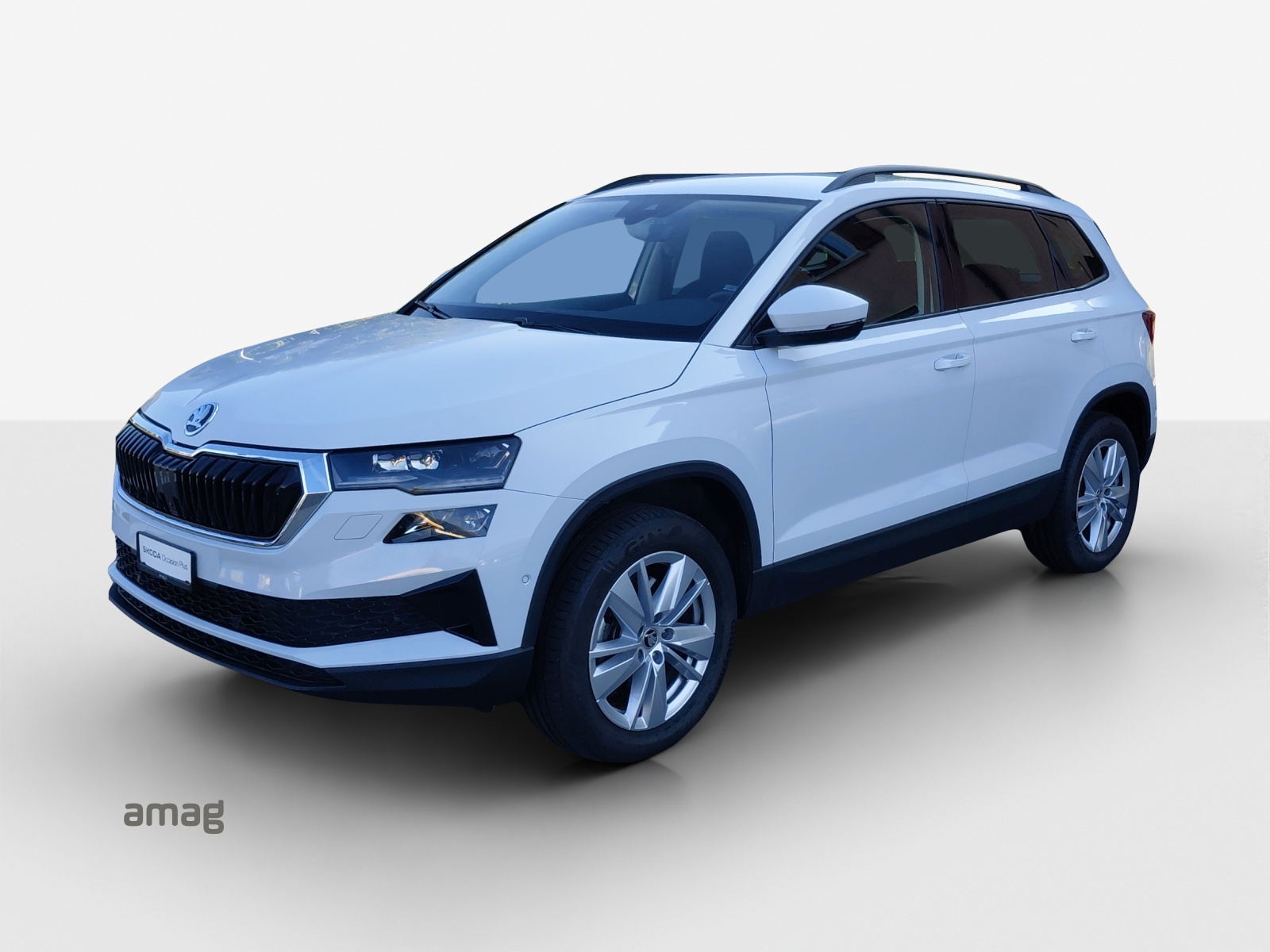 SKODA Karoq 2.0 TDI CR Selection 4x4 DSG-image-0