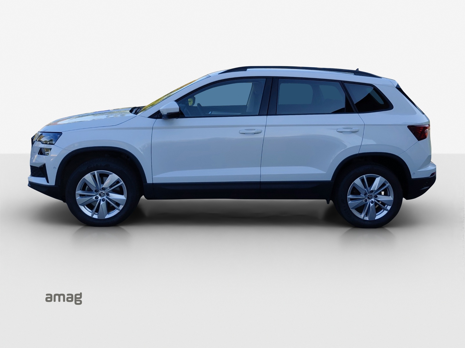 SKODA Karoq 2.0 TDI CR Selection 4x4 DSG-image-1