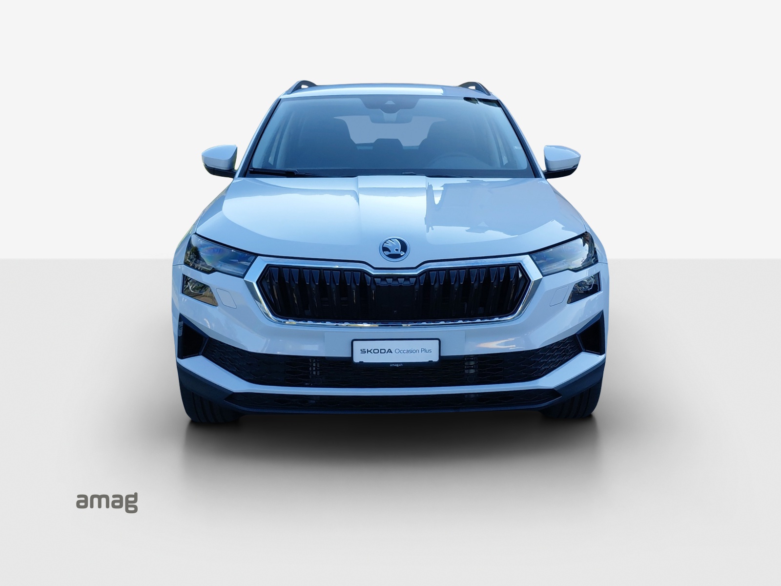 SKODA Karoq 2.0 TDI CR Selection 4x4 DSG-image-6
