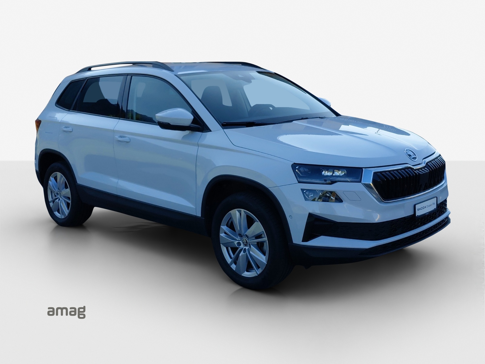 SKODA Karoq 2.0 TDI CR Selection 4x4 DSG-image-5
