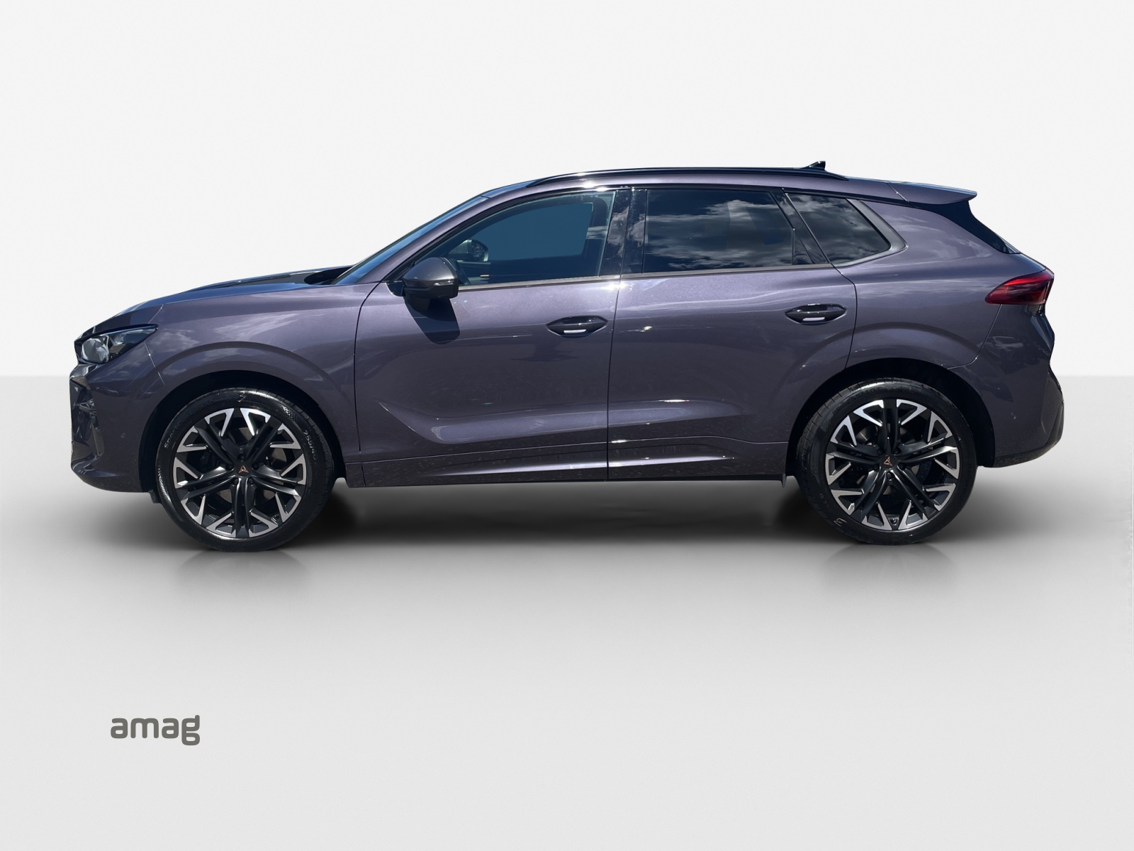 CUPRA Terramar 2.0 TSI DSG 4Drive VZ-image-13