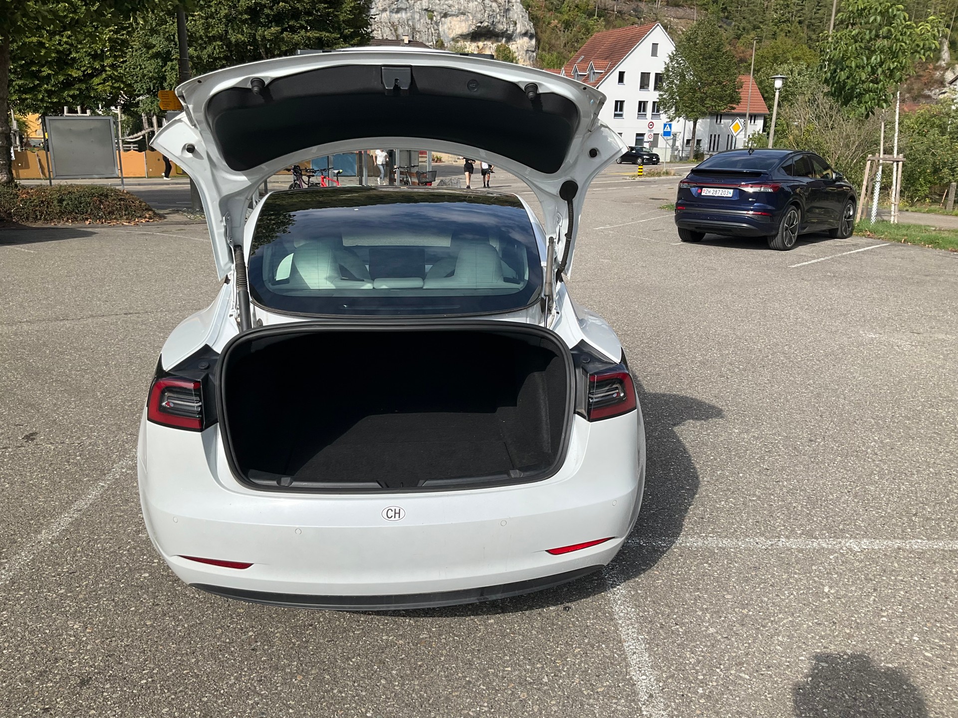 TESLA Long Range D-image-2