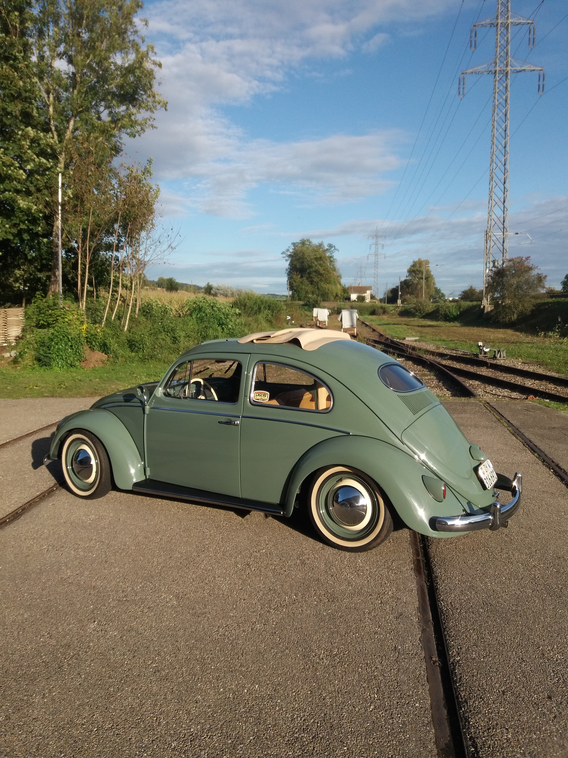 VW Käfer-image-0