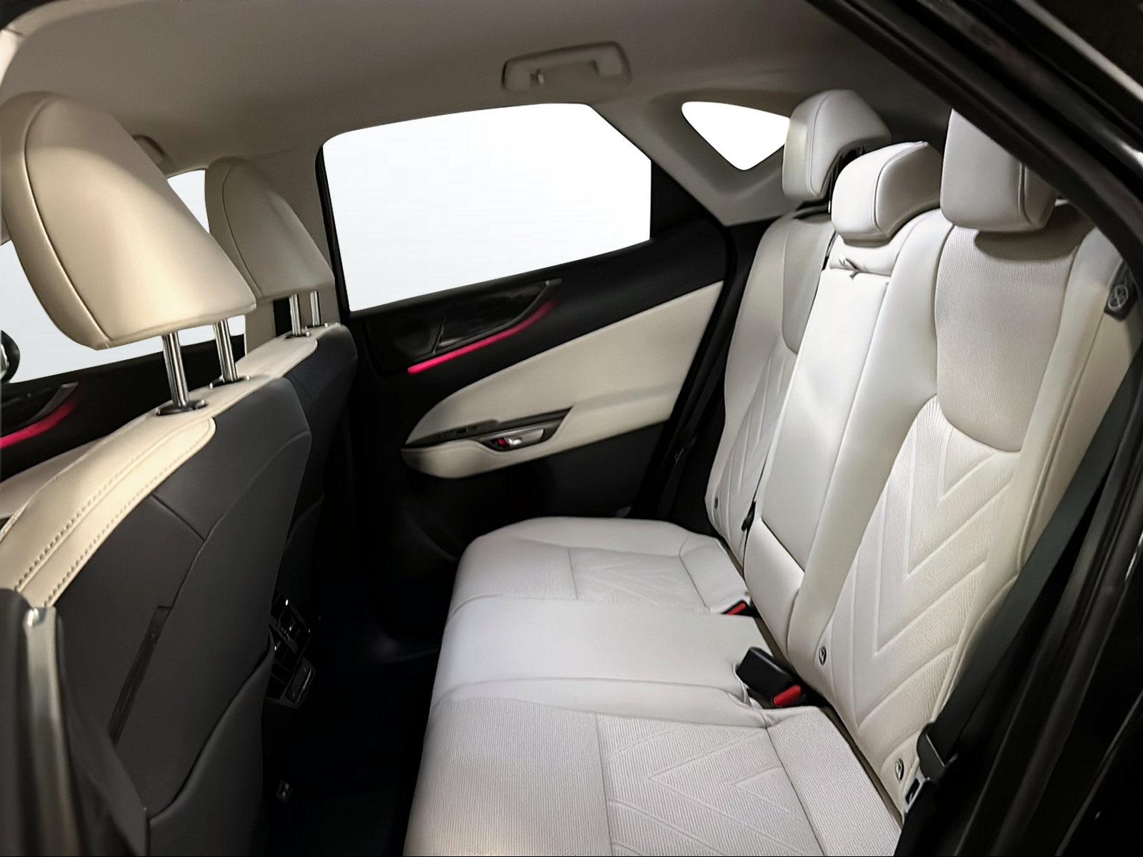 LEXUS NX 450h+ Comfort-image-9