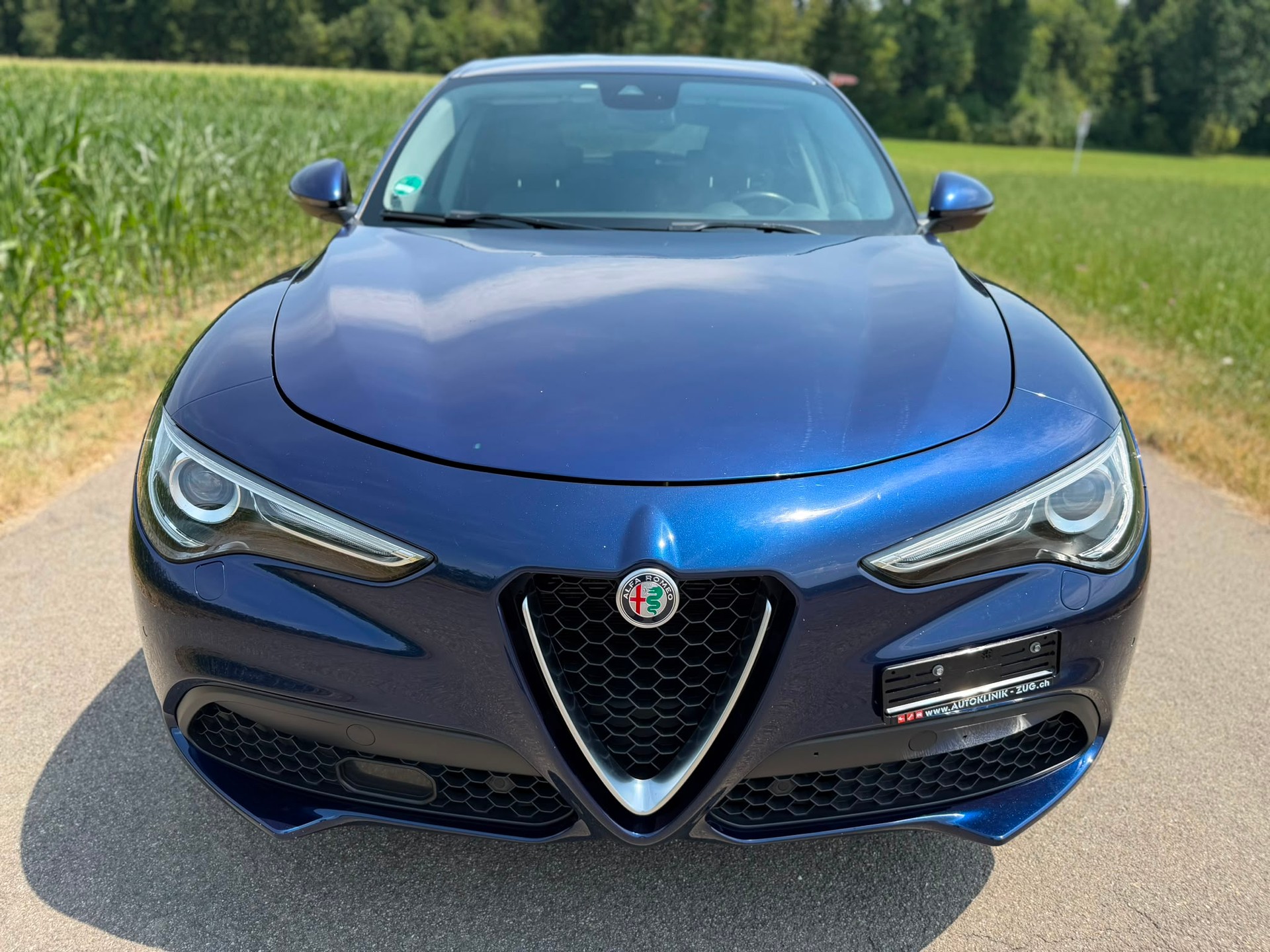 ALFA ROMEO Stelvio 2.2 JTDM Executive Q4 Automatic-image-2