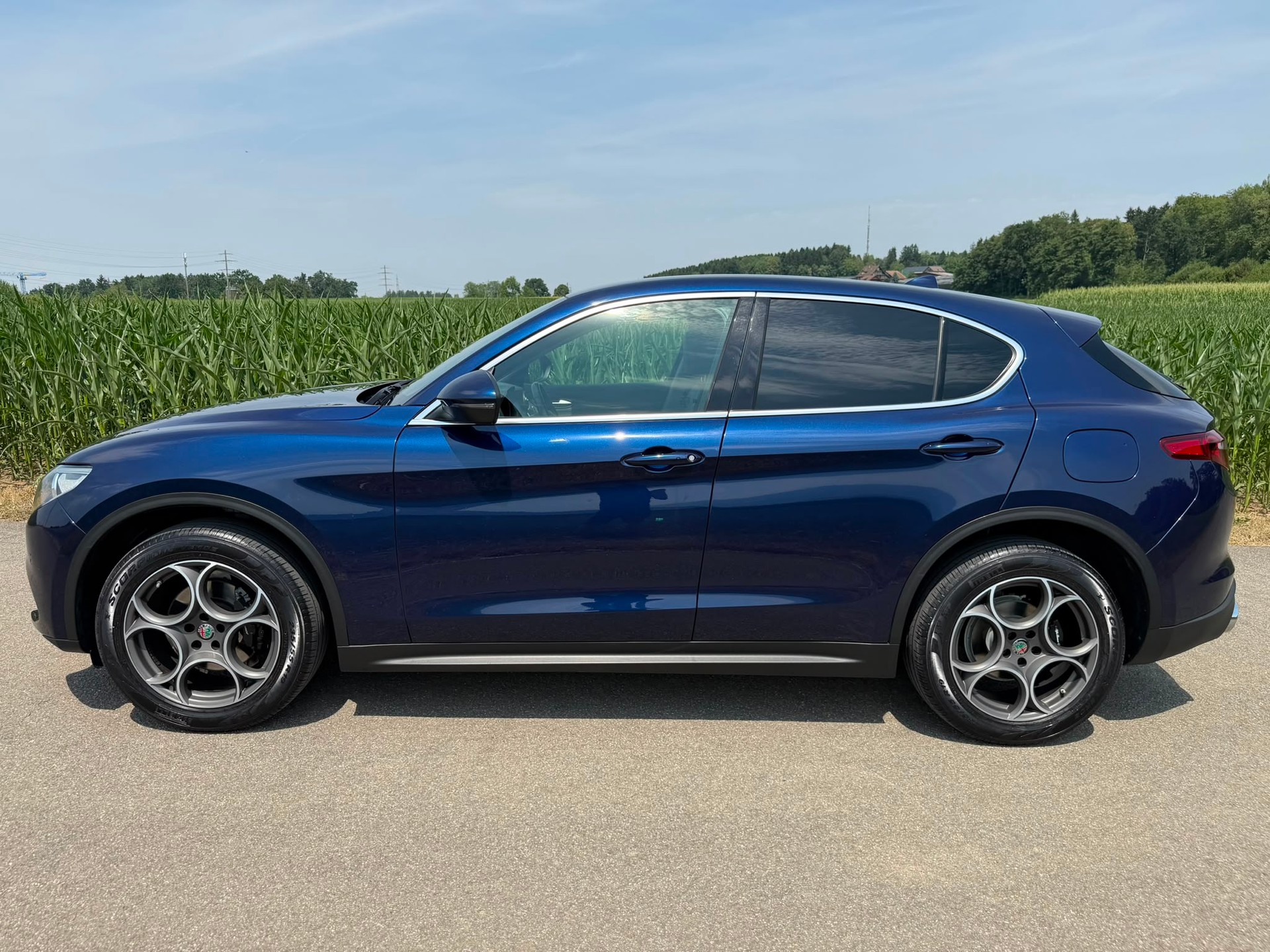 ALFA ROMEO Stelvio 2.2 JTDM Executive Q4 Automatic-image-8
