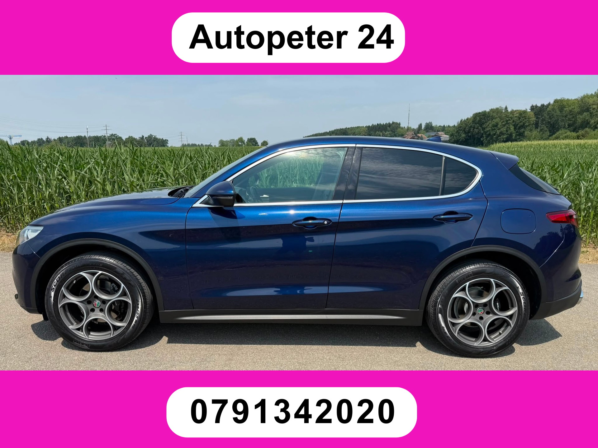 ALFA ROMEO Stelvio 2.2 JTDM Executive Q4 Automatic-image-0