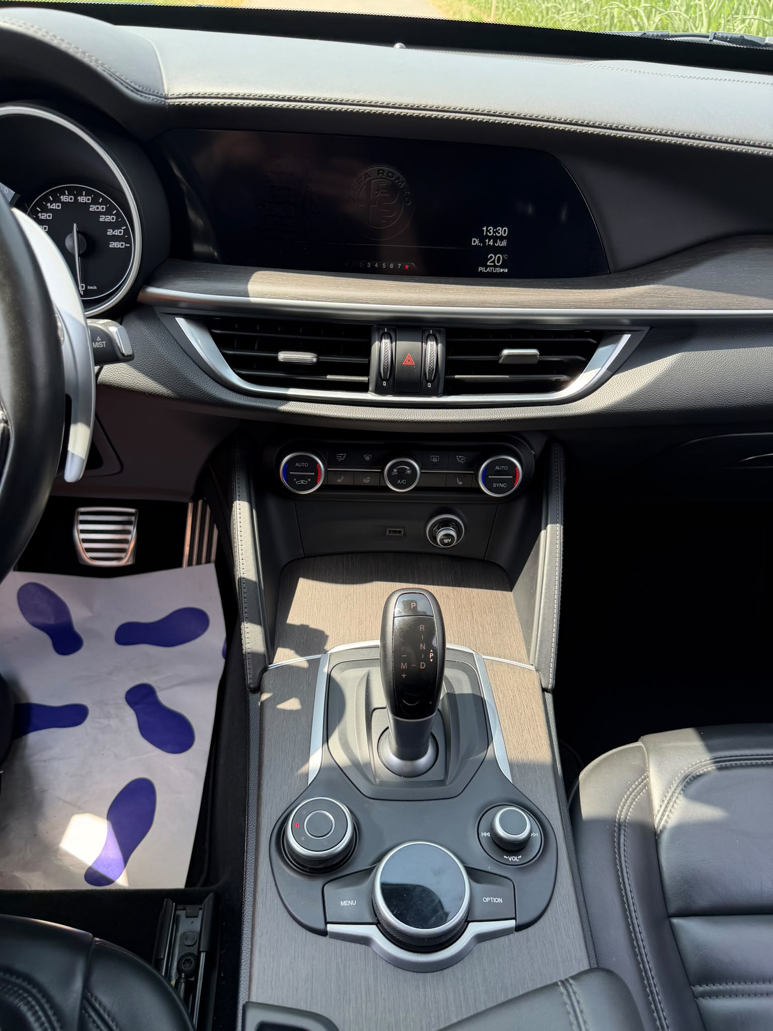 ALFA ROMEO Stelvio 2.2 JTDM Executive Q4 Automatic-image-18