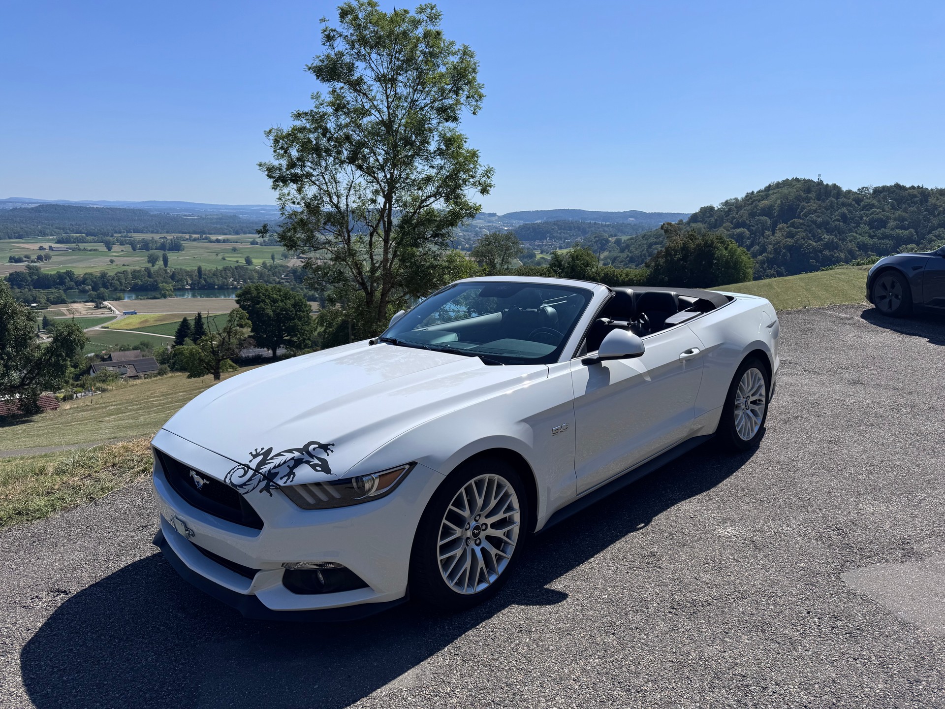 FORD 5.0 V8 GT-image-0