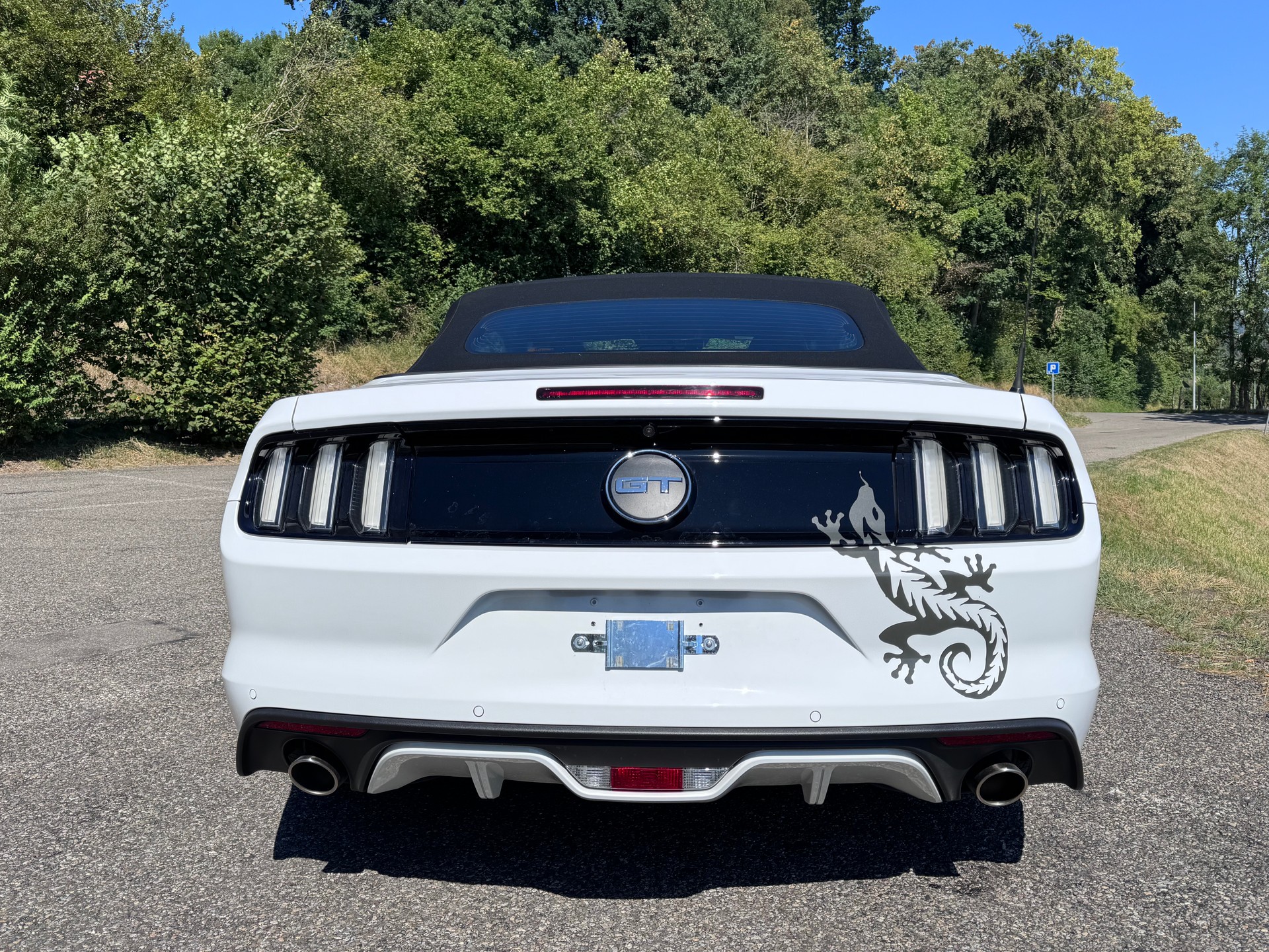 FORD 5.0 V8 GT-image-2