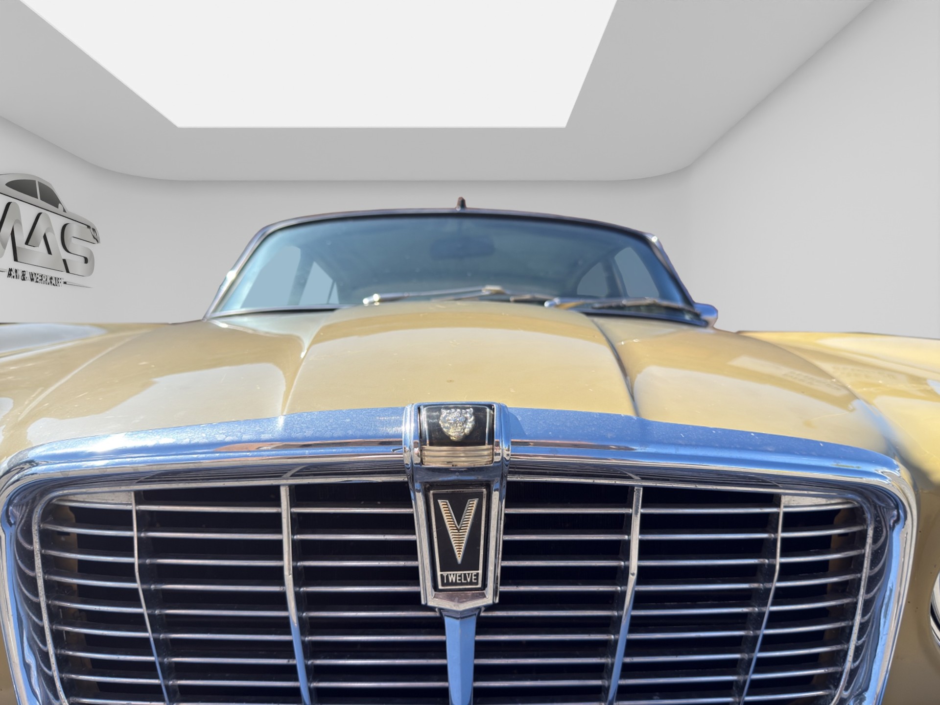 JAGUAR 5.3-image-8