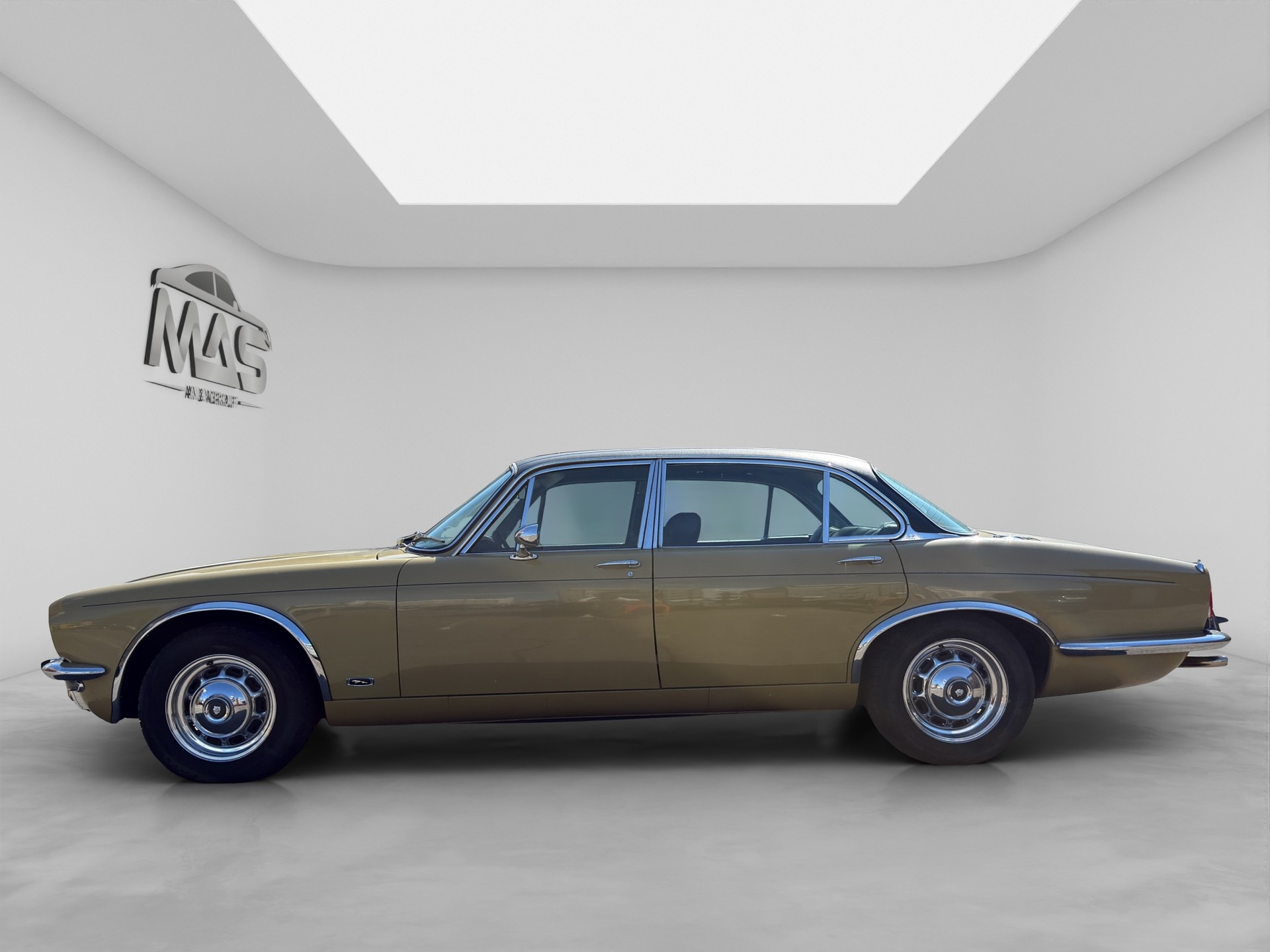JAGUAR 5.3-image-10