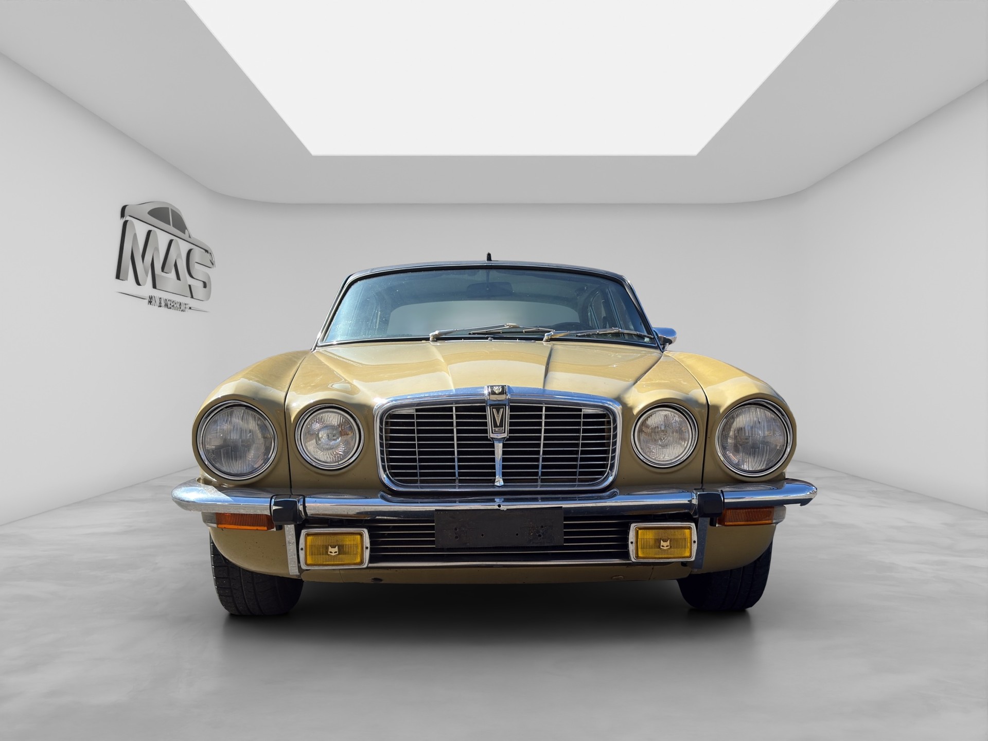 JAGUAR 5.3-image-7