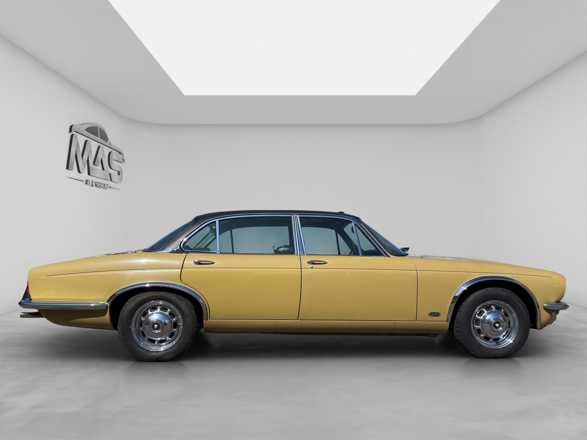 JAGUAR 5.3-image-6