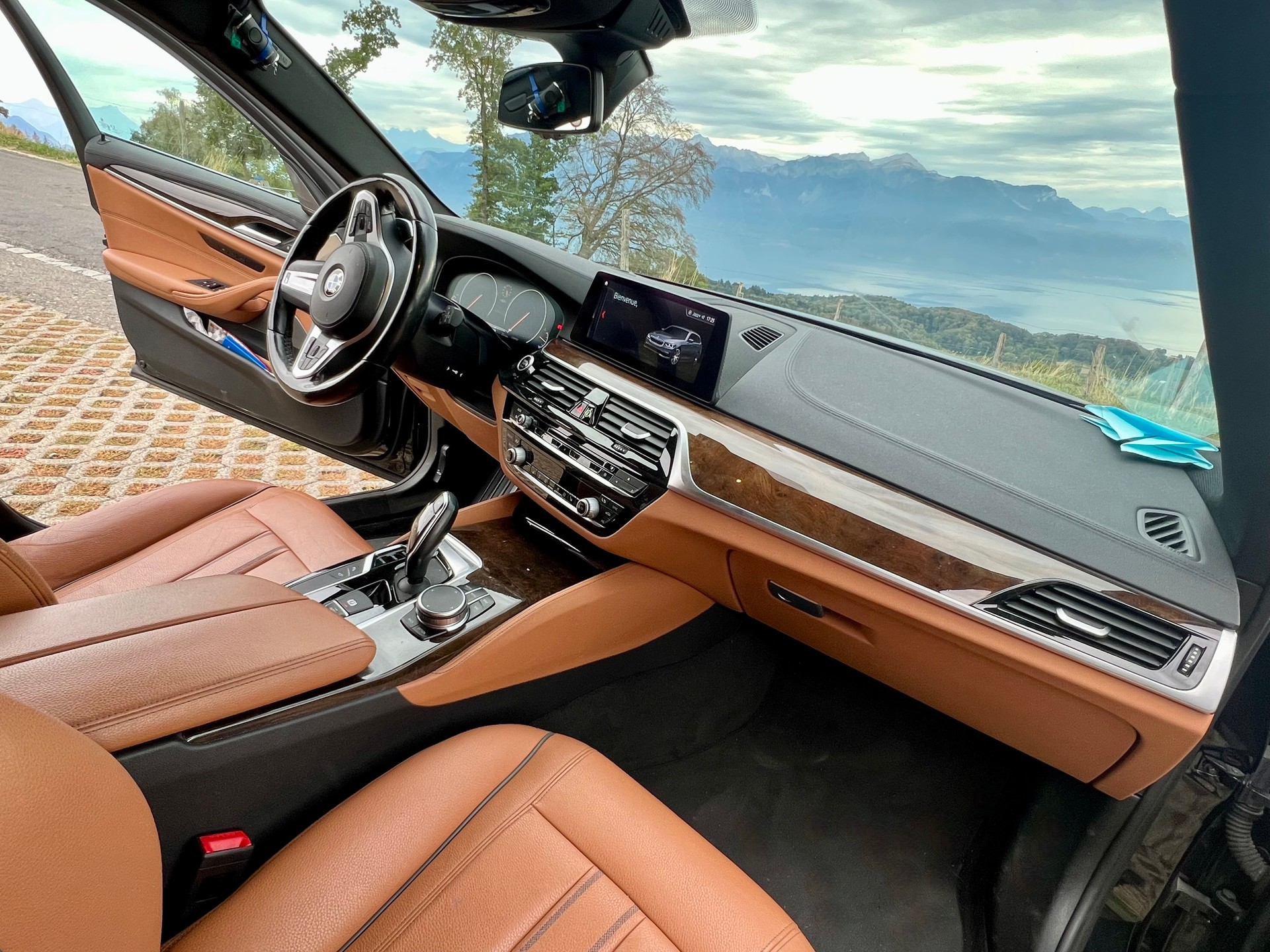 BMW 530i xDrive-image-4
