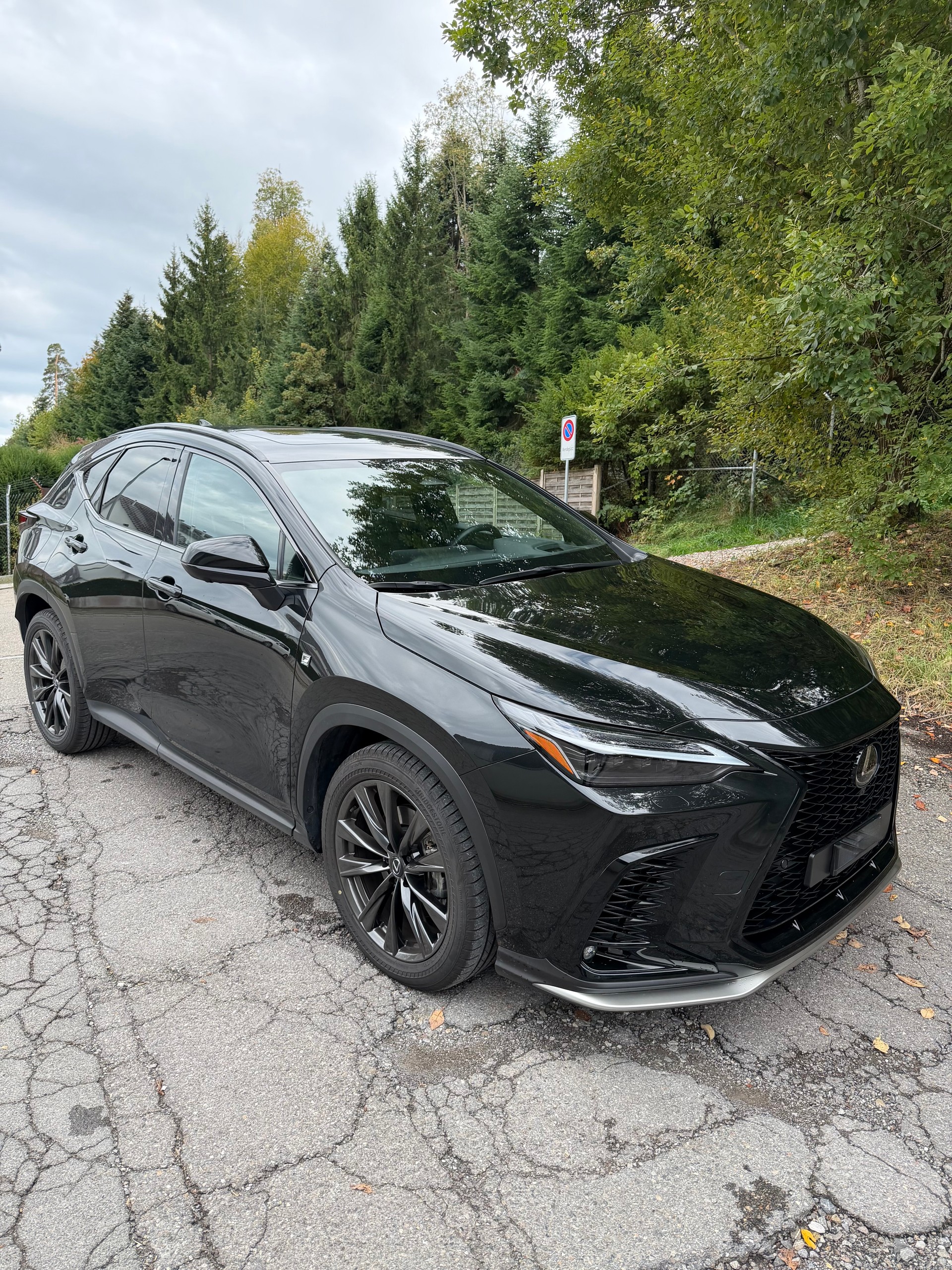LEXUS 450h+ F-Sport-image-0