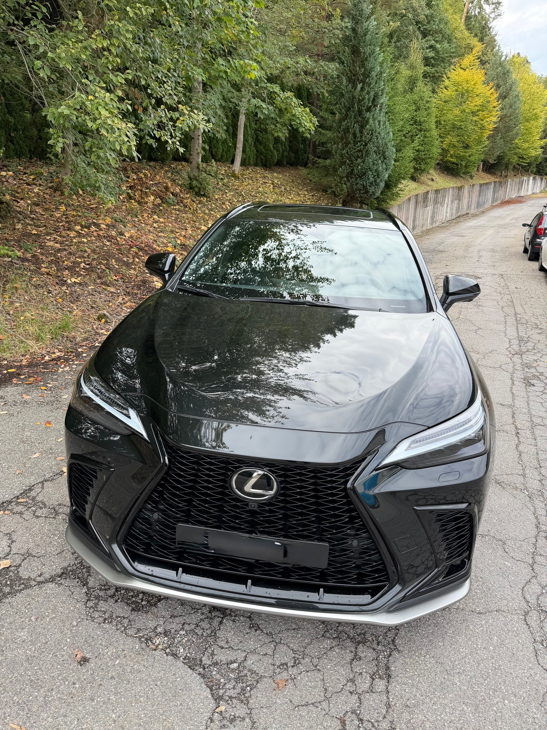 LEXUS 450h+ F-Sport-image-3