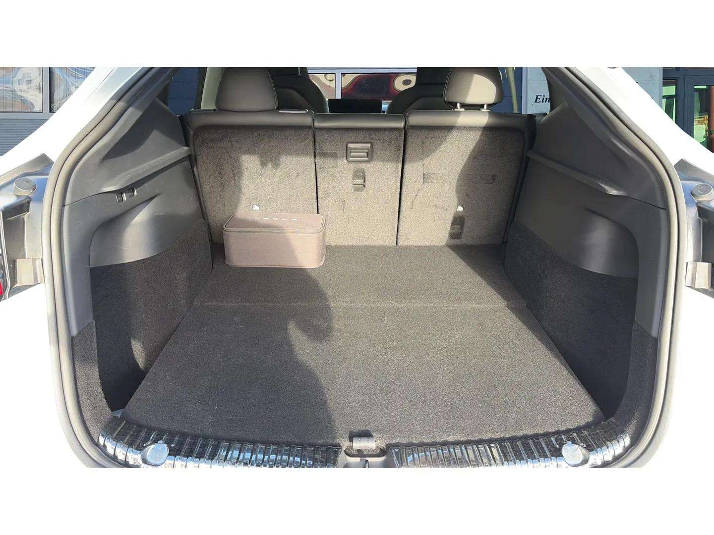 TESLA Model Y Long Range (AMD Ryzen) mit AHK-image-14