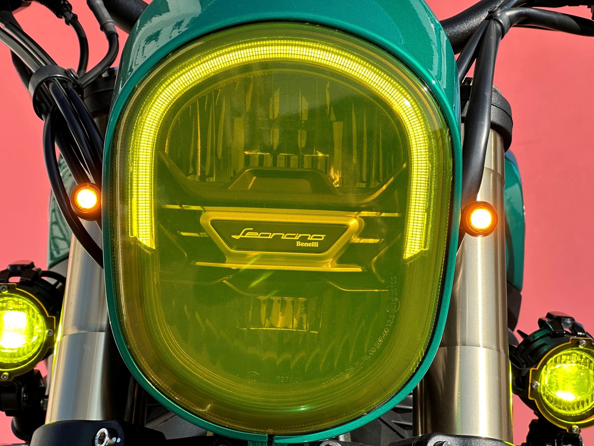 BENELLI Leoncino 800 QV-image-7