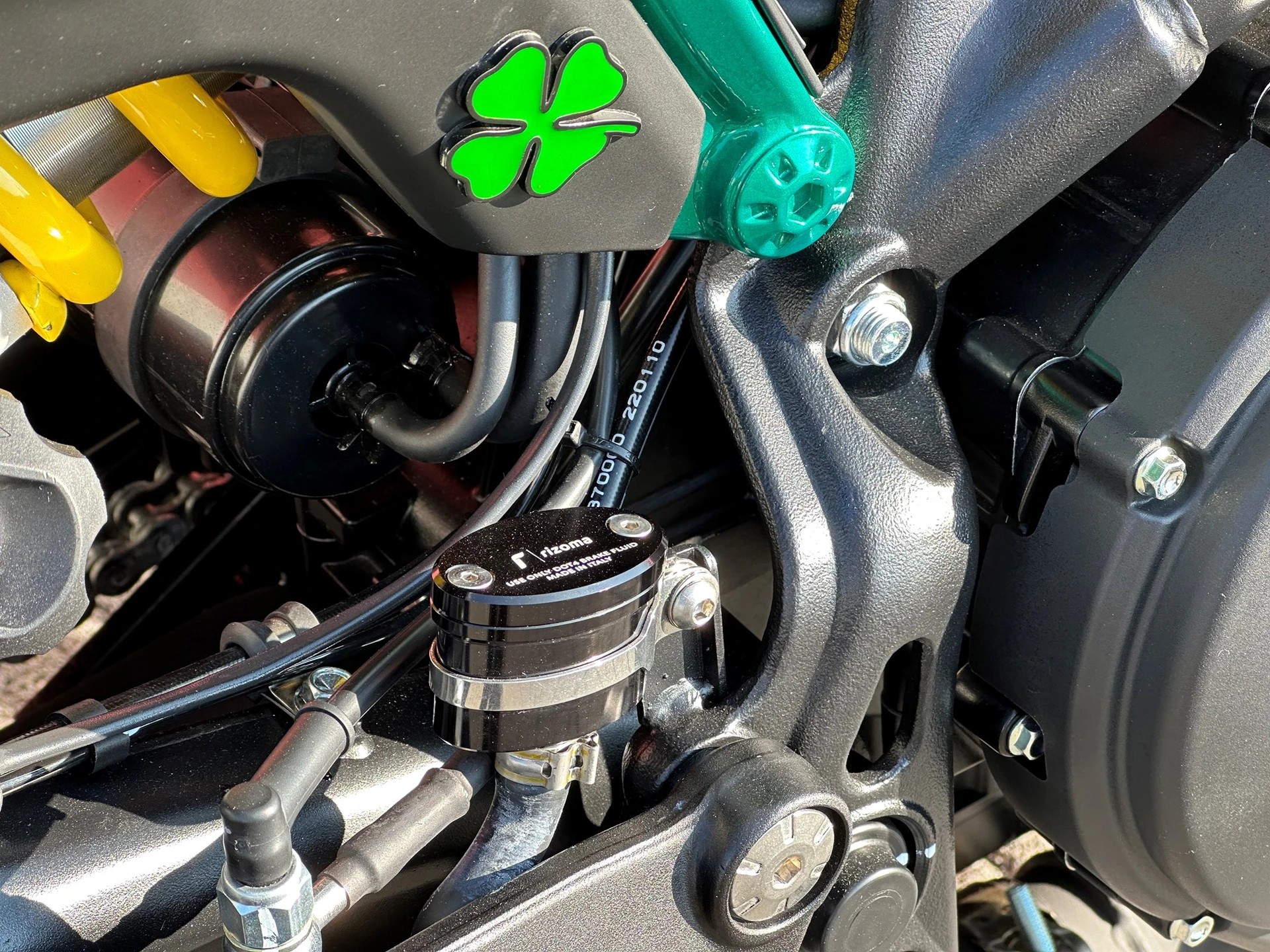 BENELLI Leoncino 800 QV-image-11