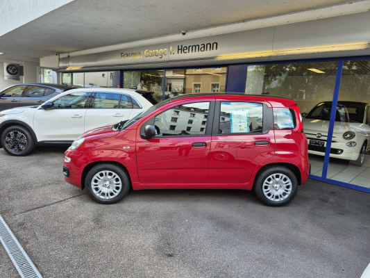 FIAT Panda 1.0 MHEV Cult-image-1
