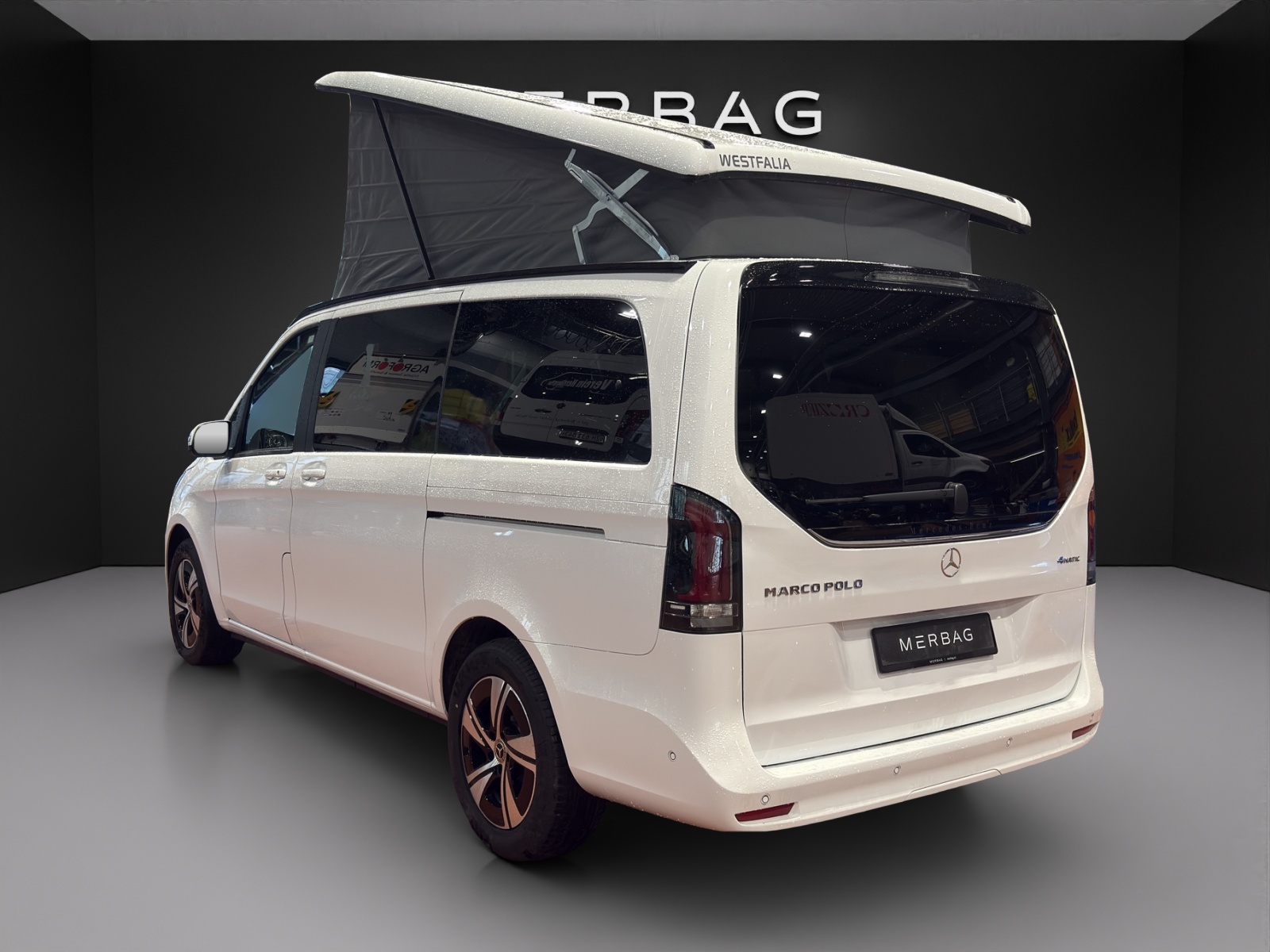 MERCEDES-BENZ Marco Polo Horizon 250 d 4M Automat-image-4