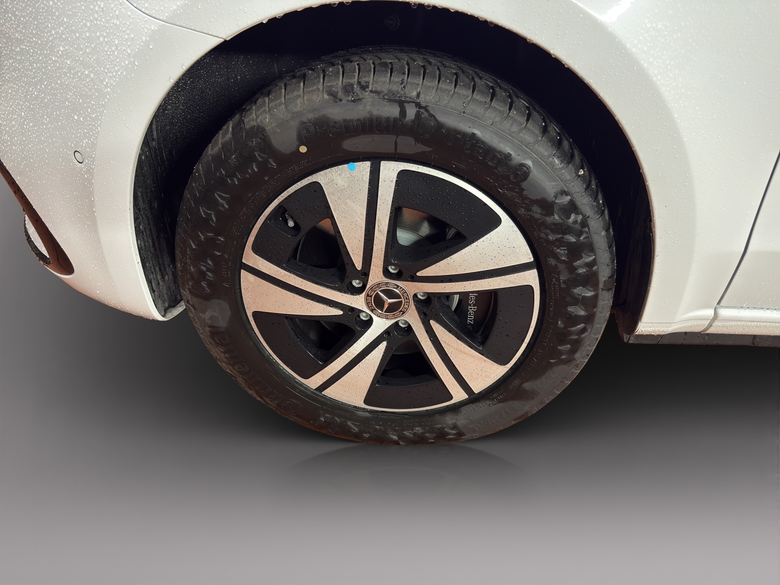 MERCEDES-BENZ Marco Polo Horizon 250 d 4M Automat-image-11