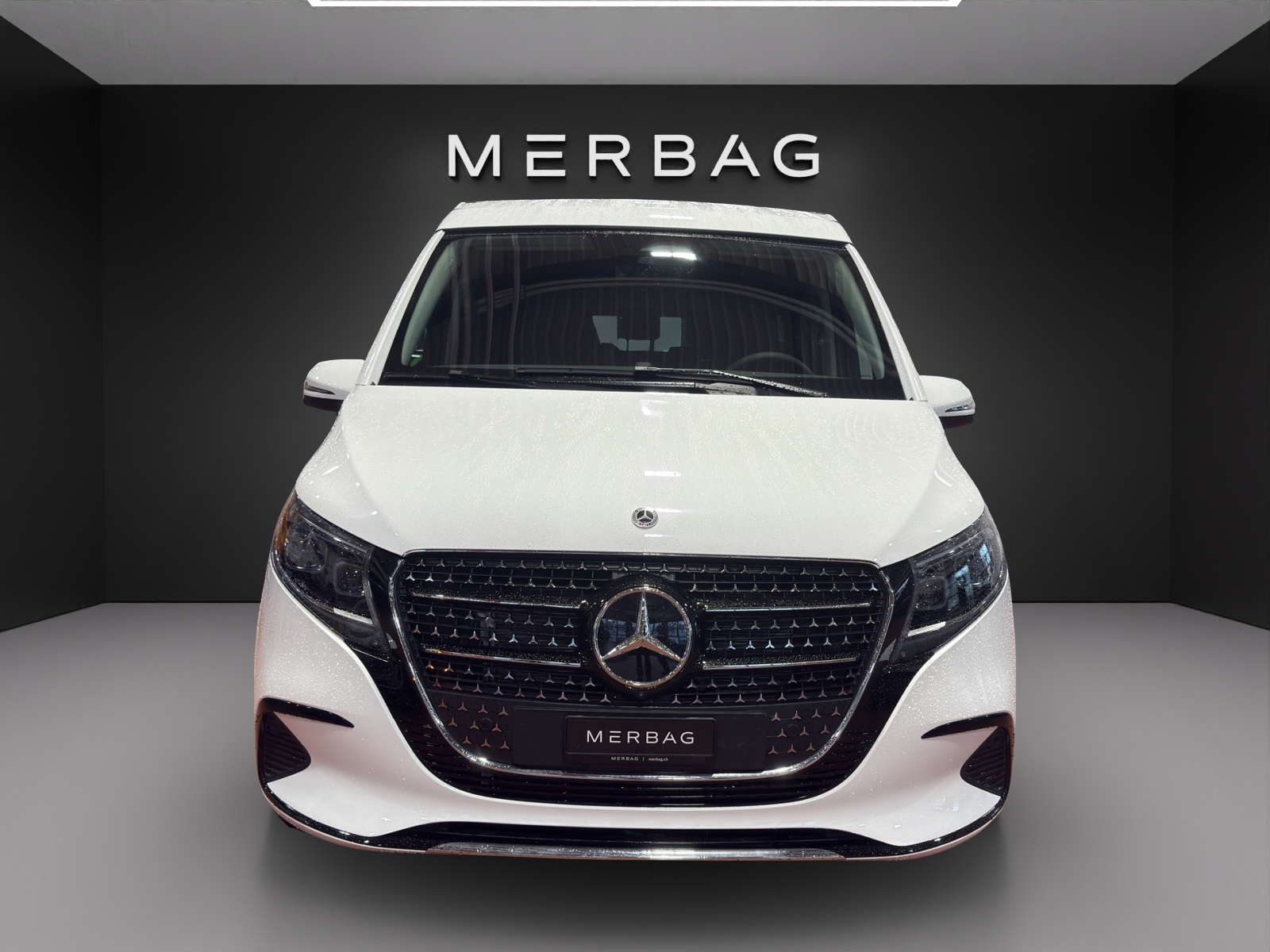 MERCEDES-BENZ Marco Polo Horizon 250 d 4M Automat-image-1