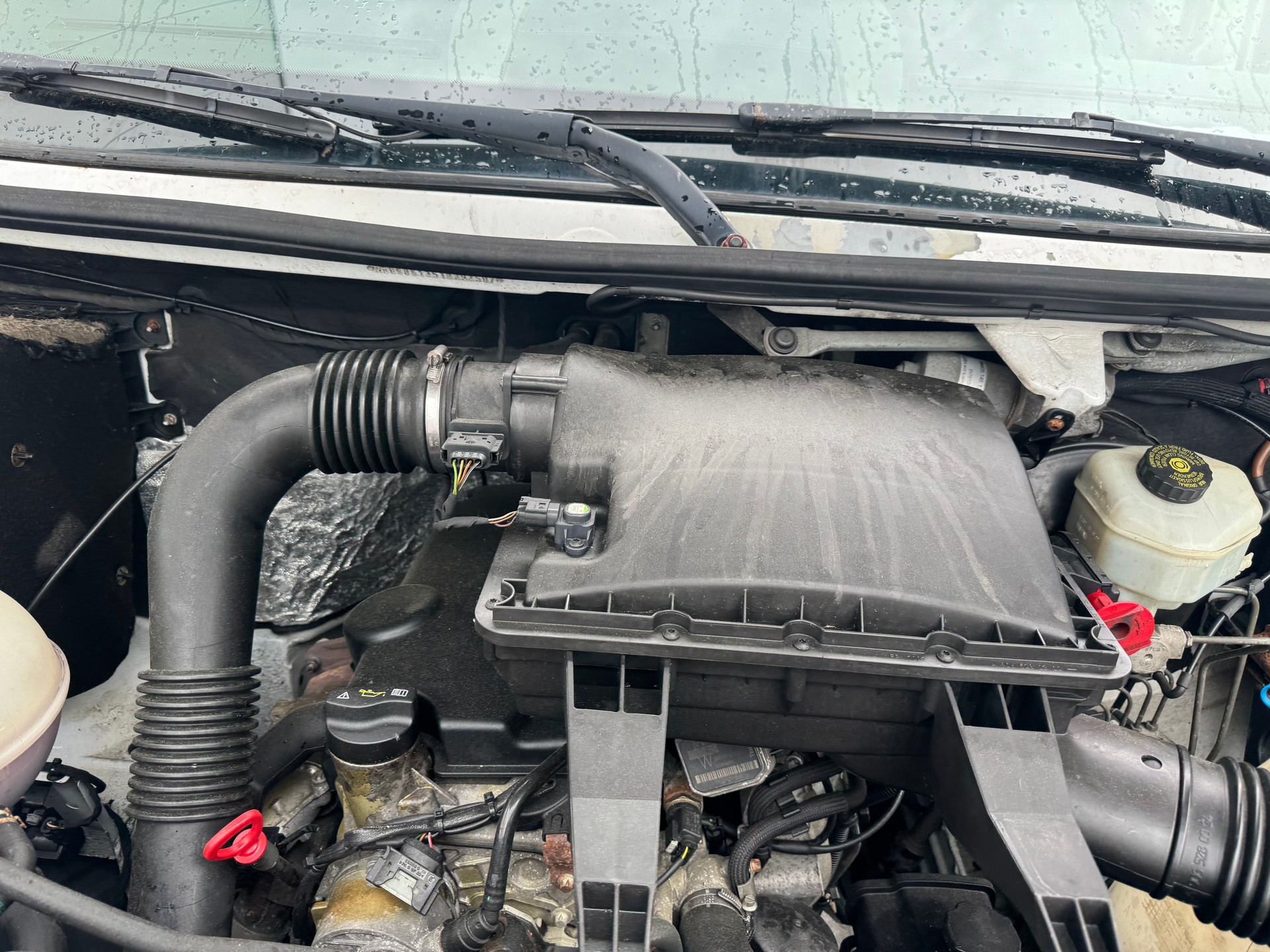 MERCEDES-BENZ Sprinter 316 CDI-image-9