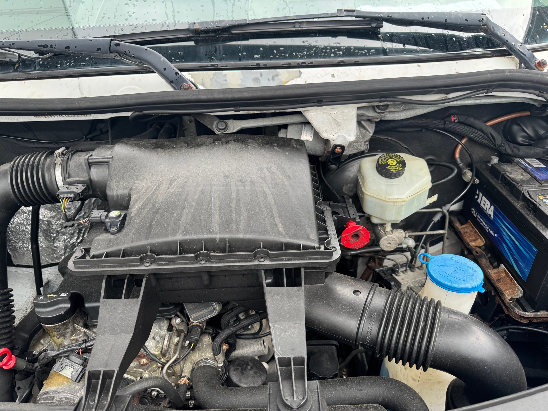 MERCEDES-BENZ Sprinter 316 CDI-image-7