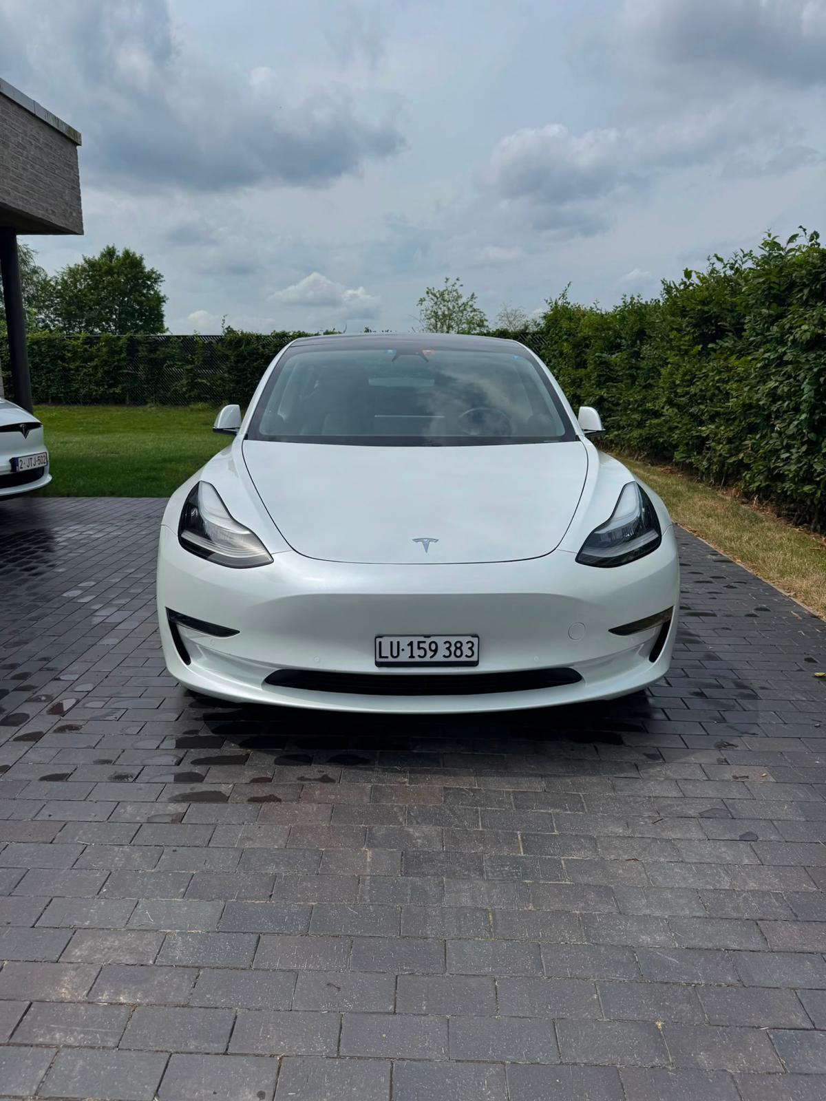 TESLA Performance D-image-0