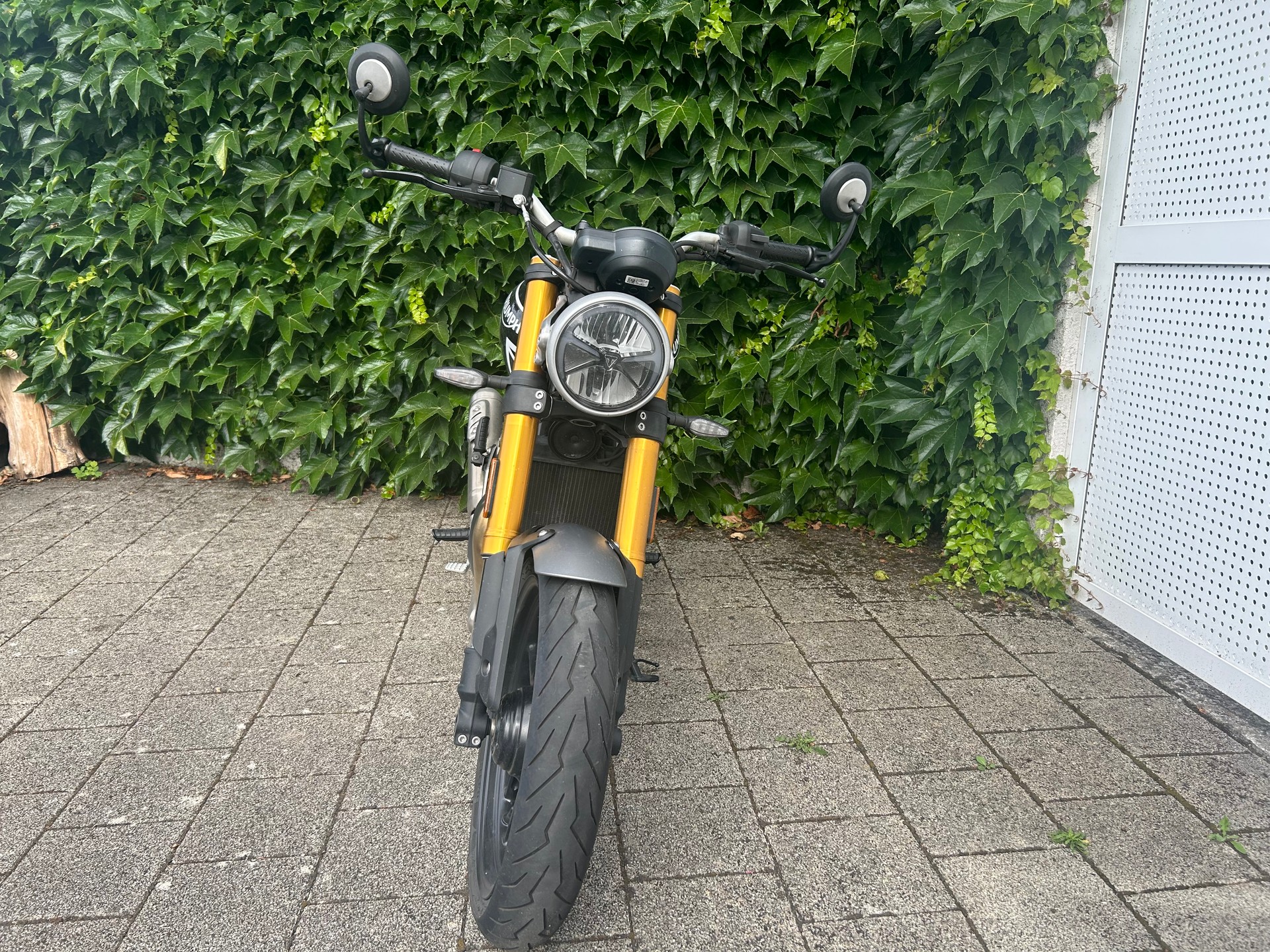 TRIUMPH Speed 400-image-2