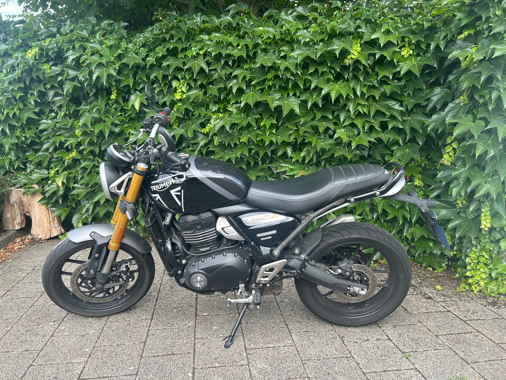 TRIUMPH Speed 400-image-1