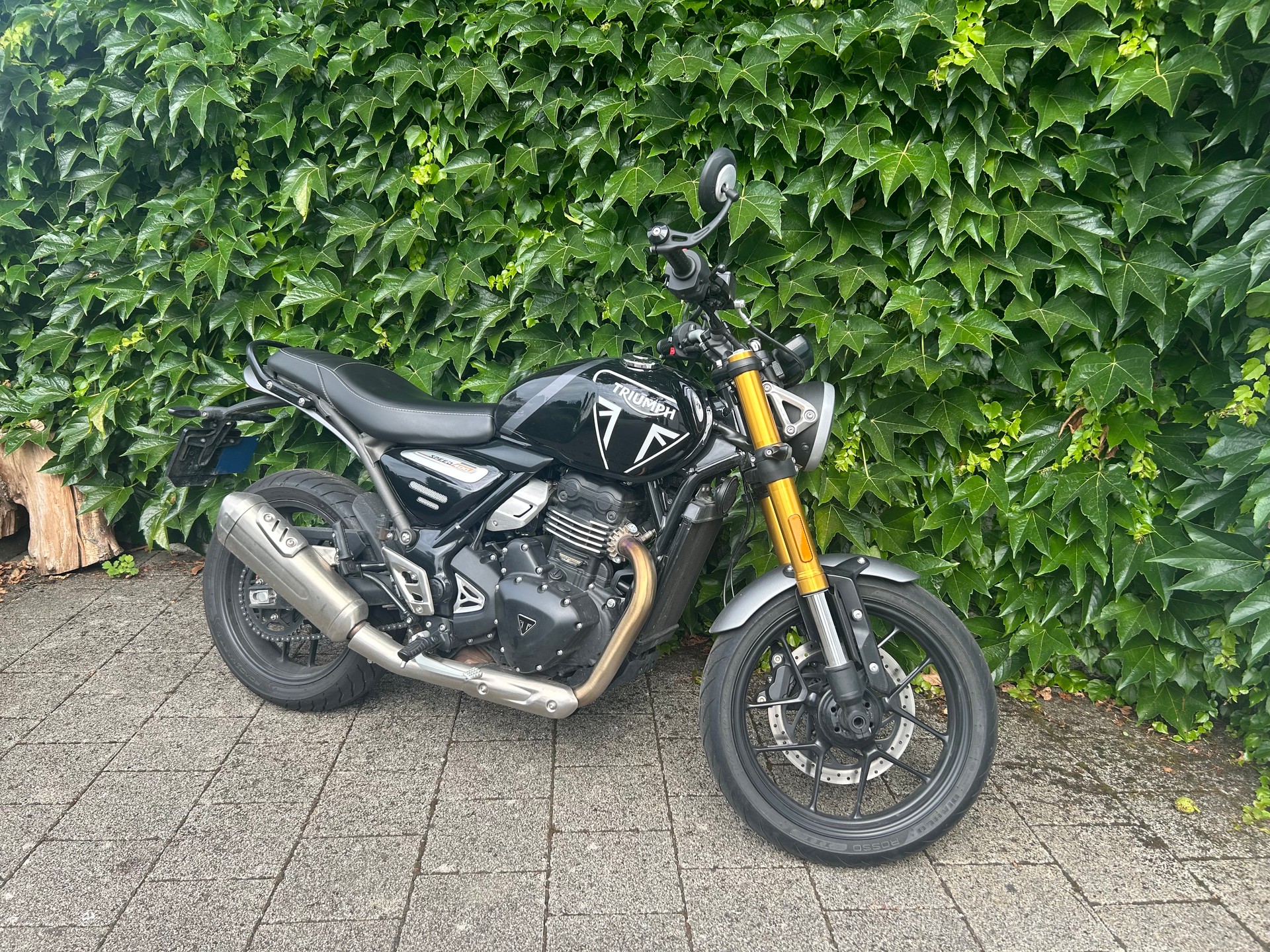 TRIUMPH Speed 400