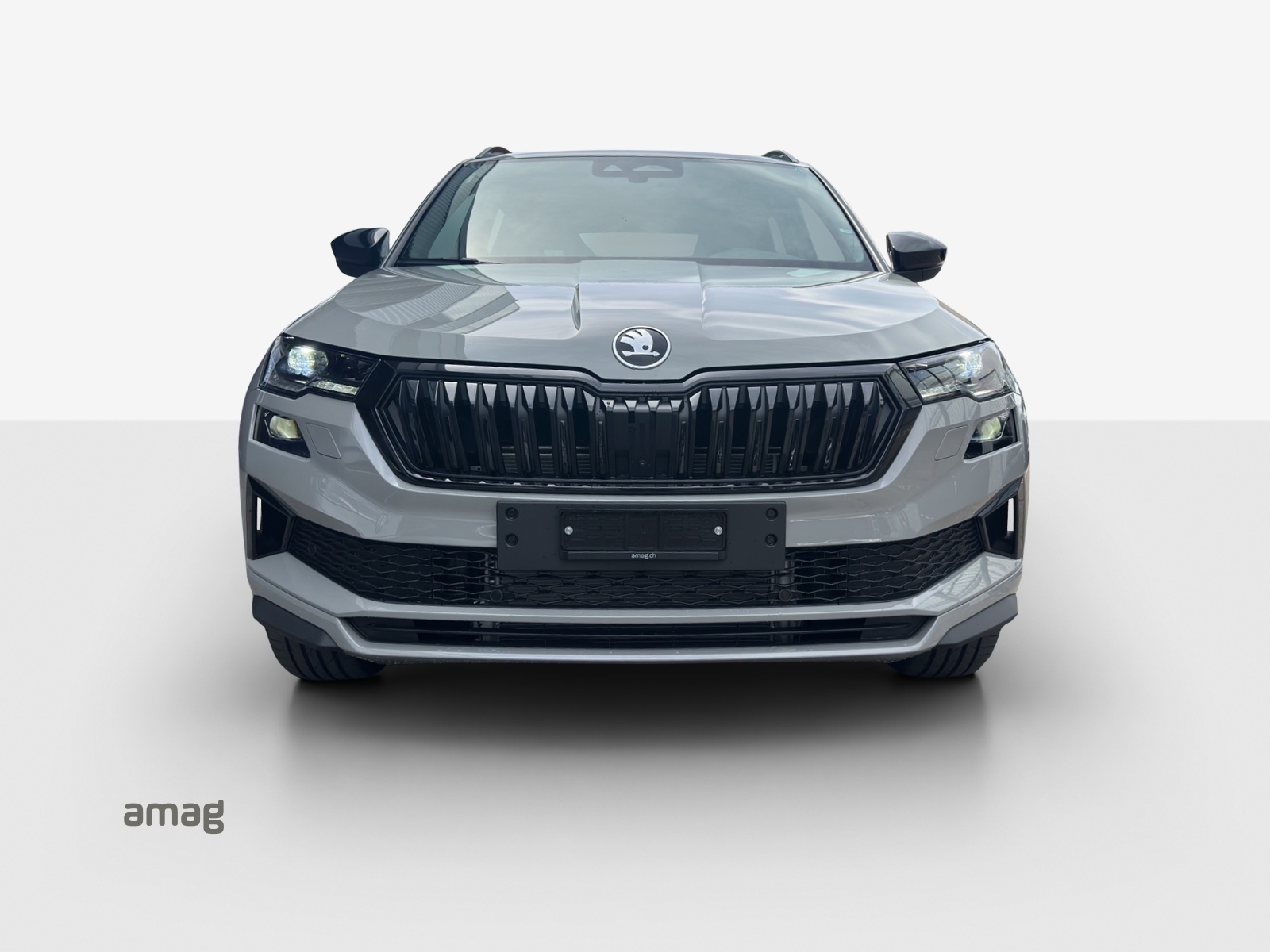SKODA Karoq 2.0 TSI SportLine 4x4 DSG-image-6