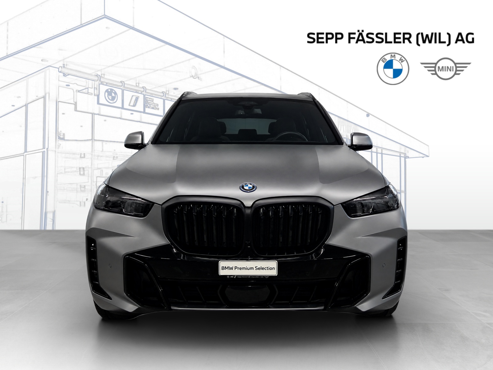 BMW X5 xDrive 50e M Sport Pro-image-10