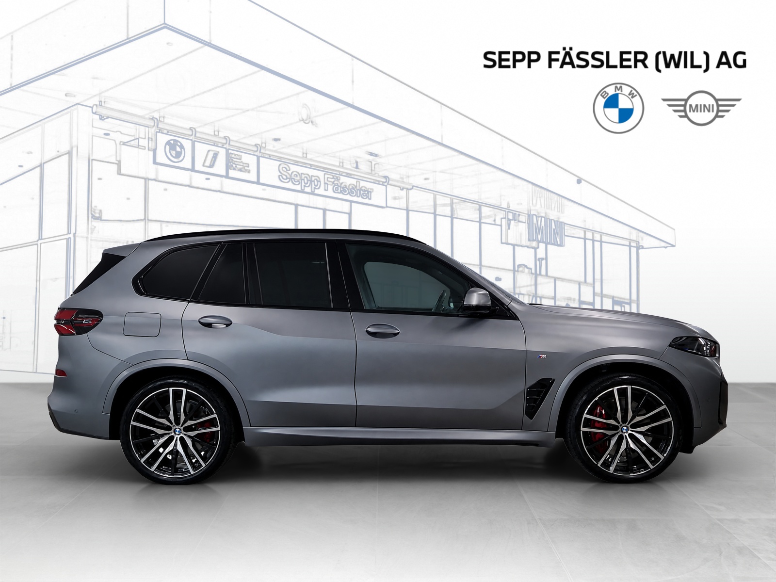 BMW X5 xDrive 50e M Sport Pro-image-6
