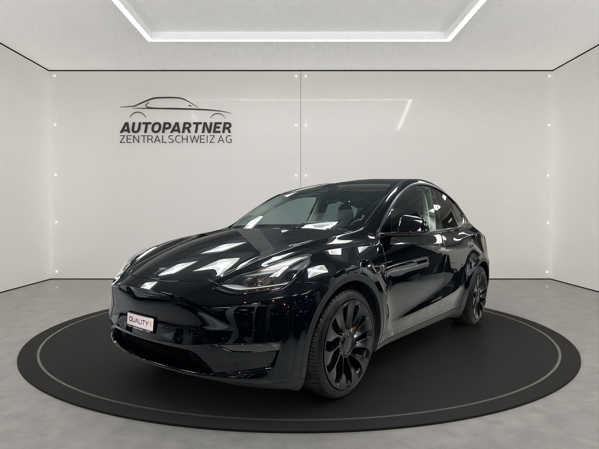 TESLA Model Y Performance-image-1