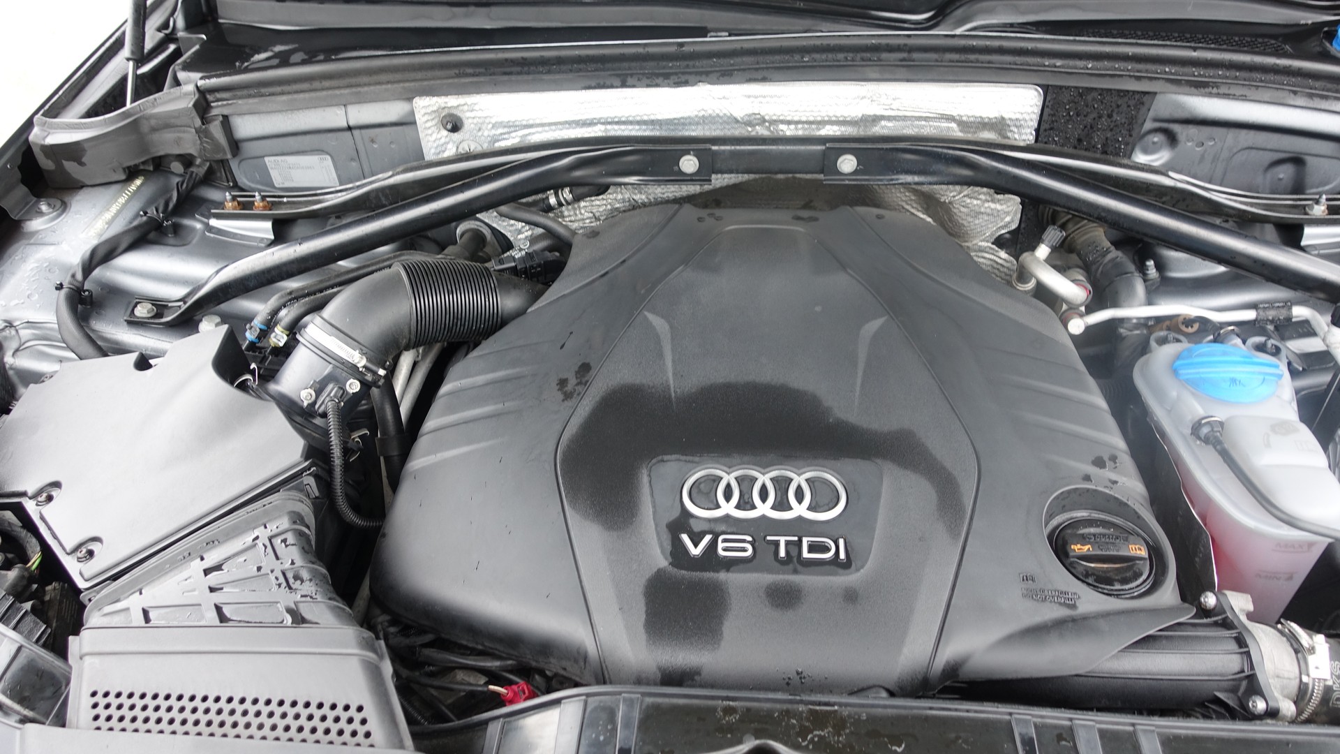 AUDI AUDI 3,0 TDI QUATTRO-image-13