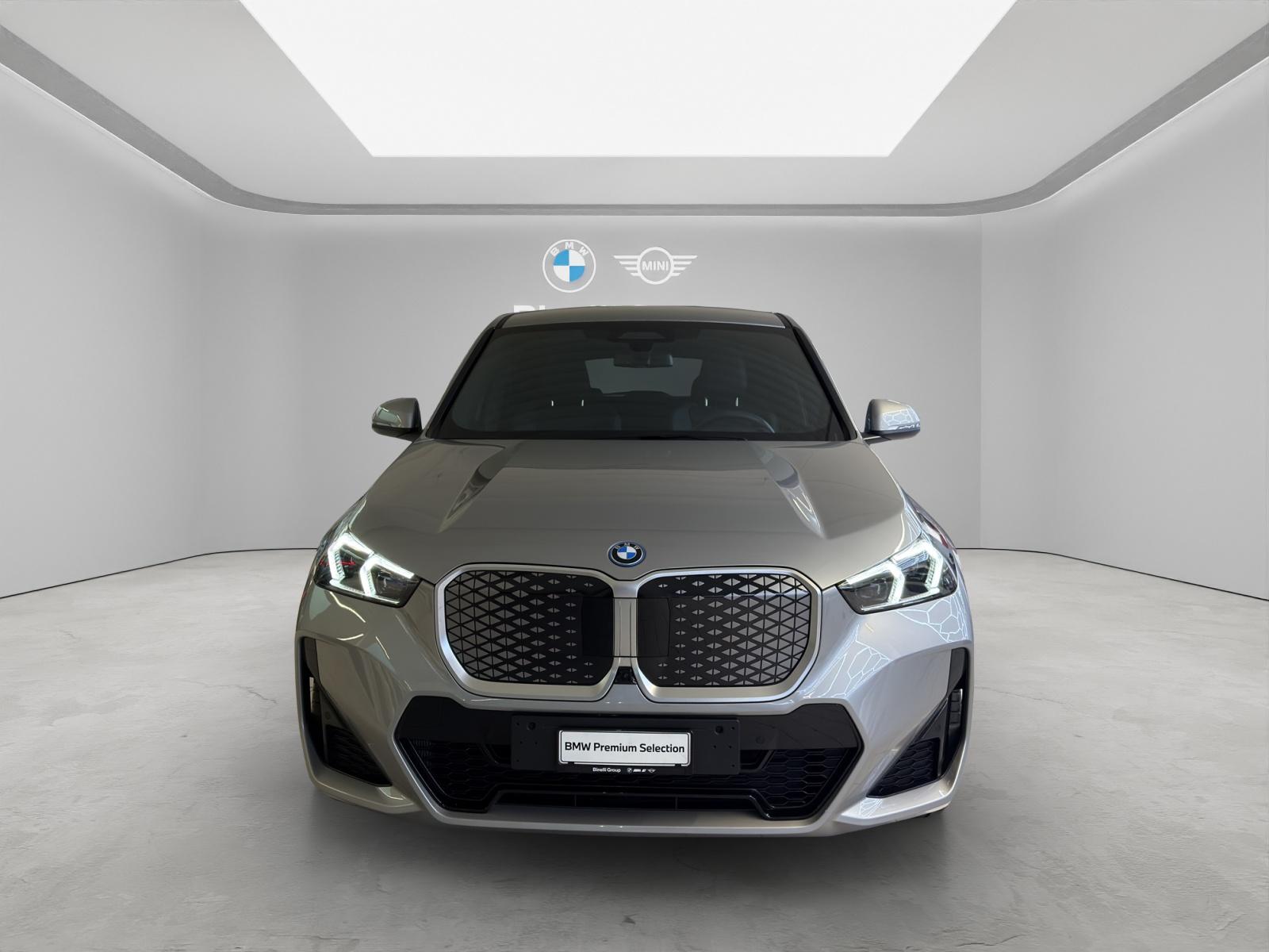 BMW iX1 30 xDrive-image-2