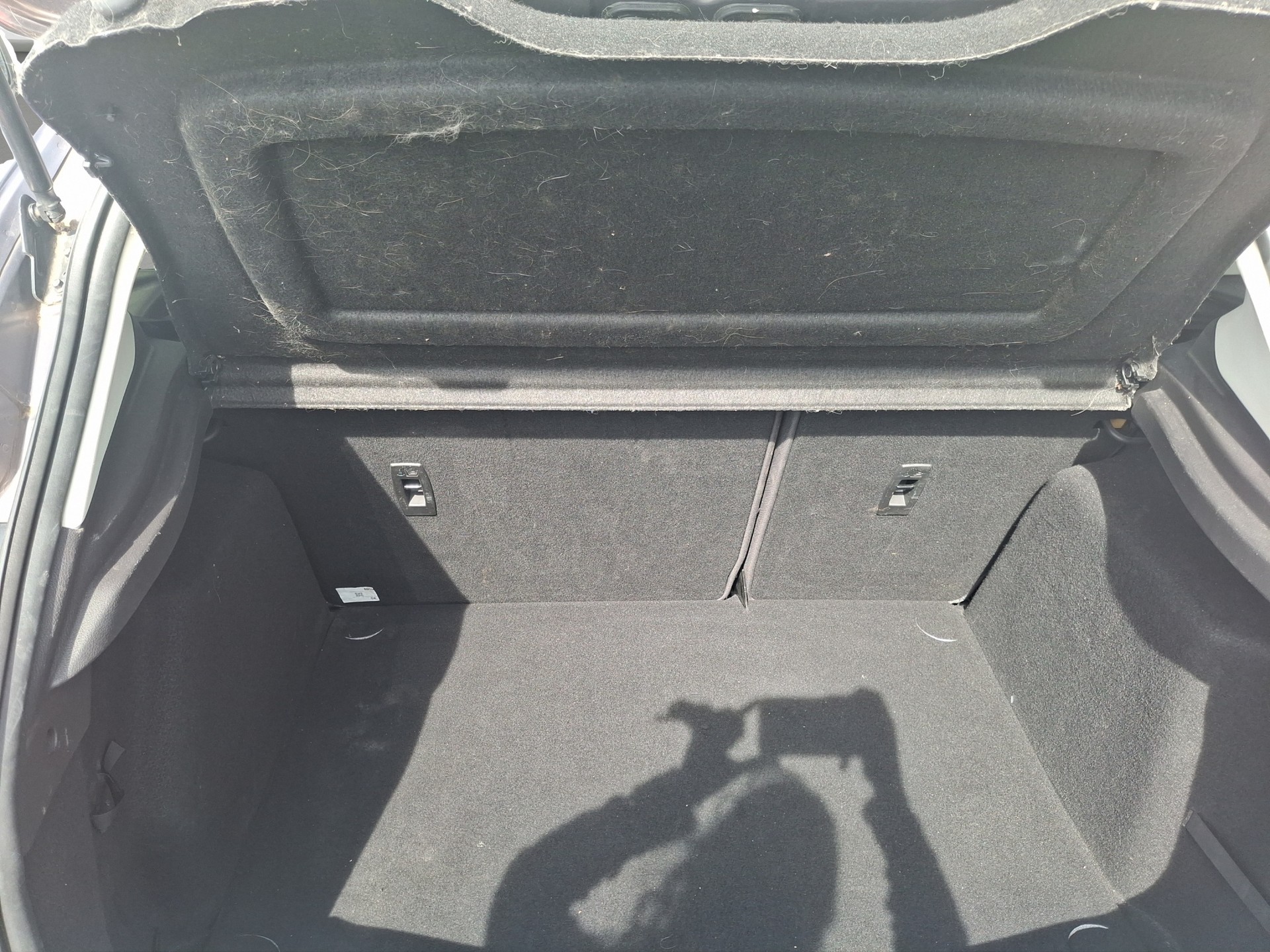 FORD Focus 1.0 SCTi Carving-image-4