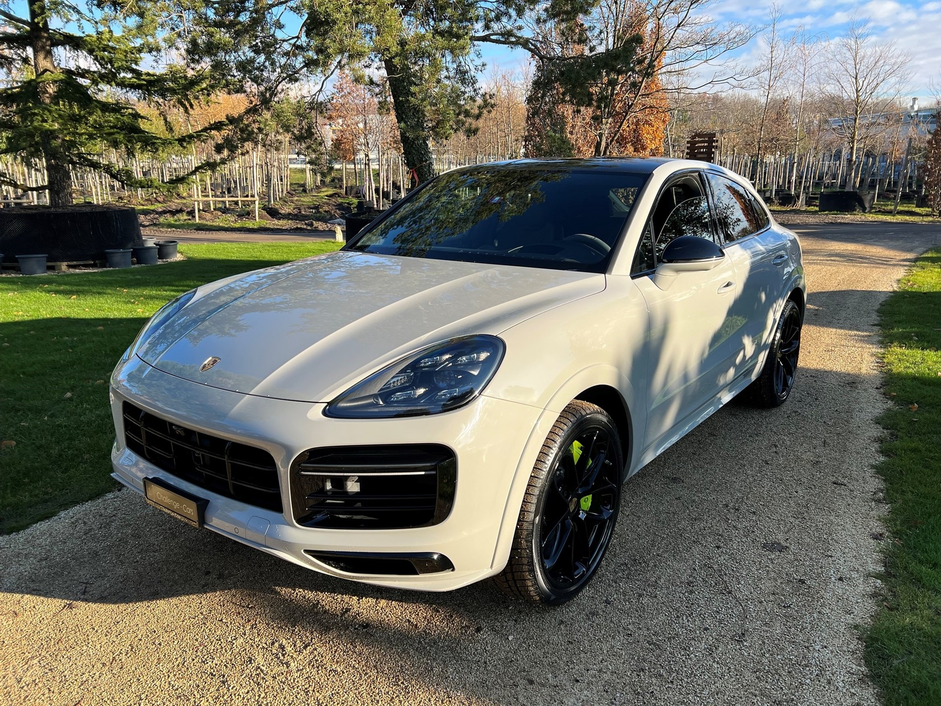 PORSCHE Cayenne Turbo Coupé S E-Hybrid-showroom-element-1